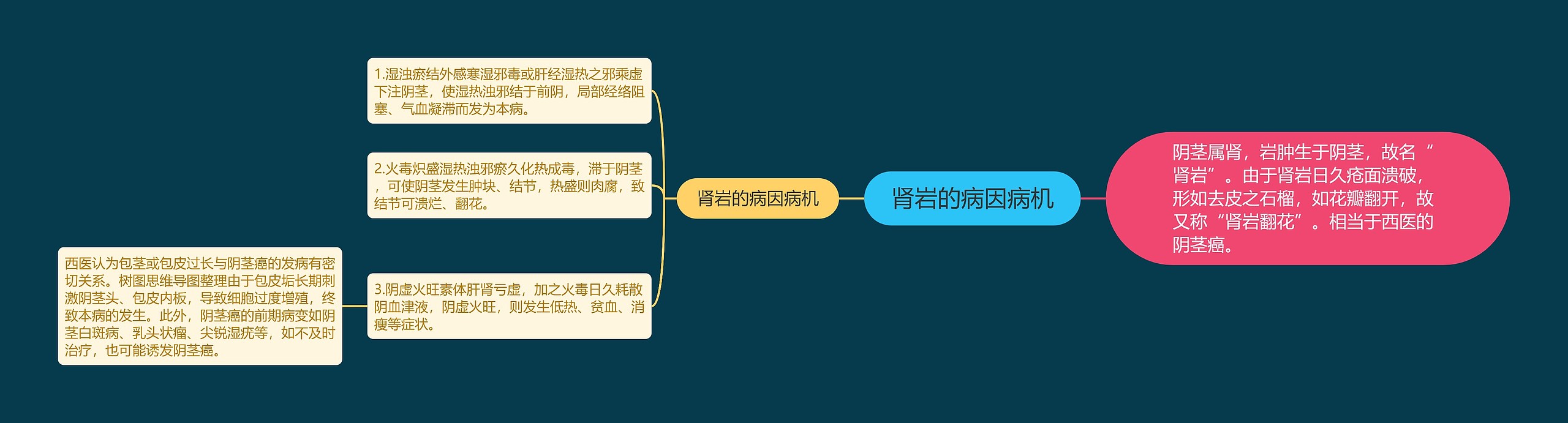 肾岩的病因病机 肾岩的病因病机