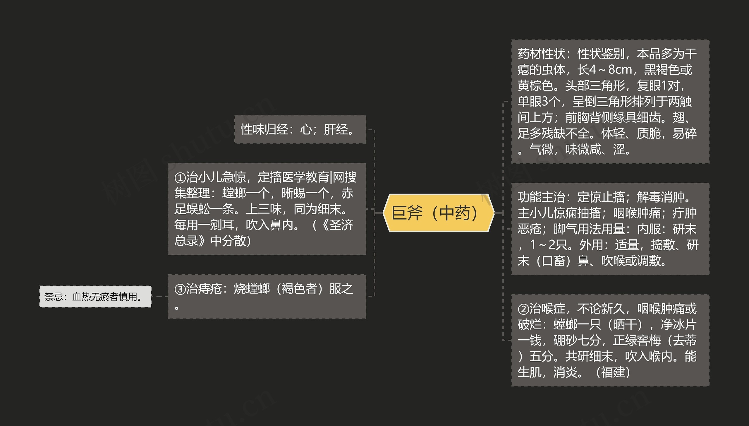 巨斧（中药）思维导图