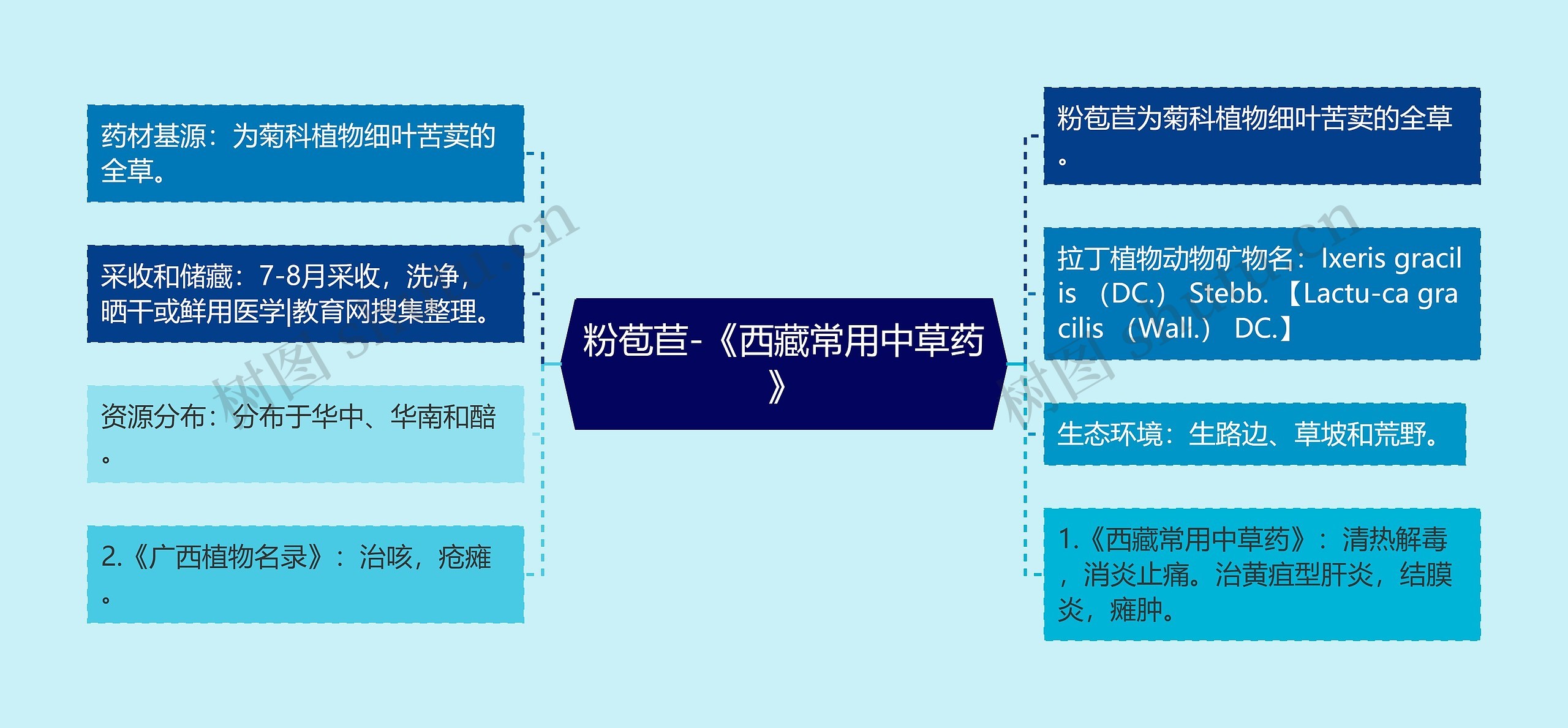 粉苞苣-《西藏常用中草药》