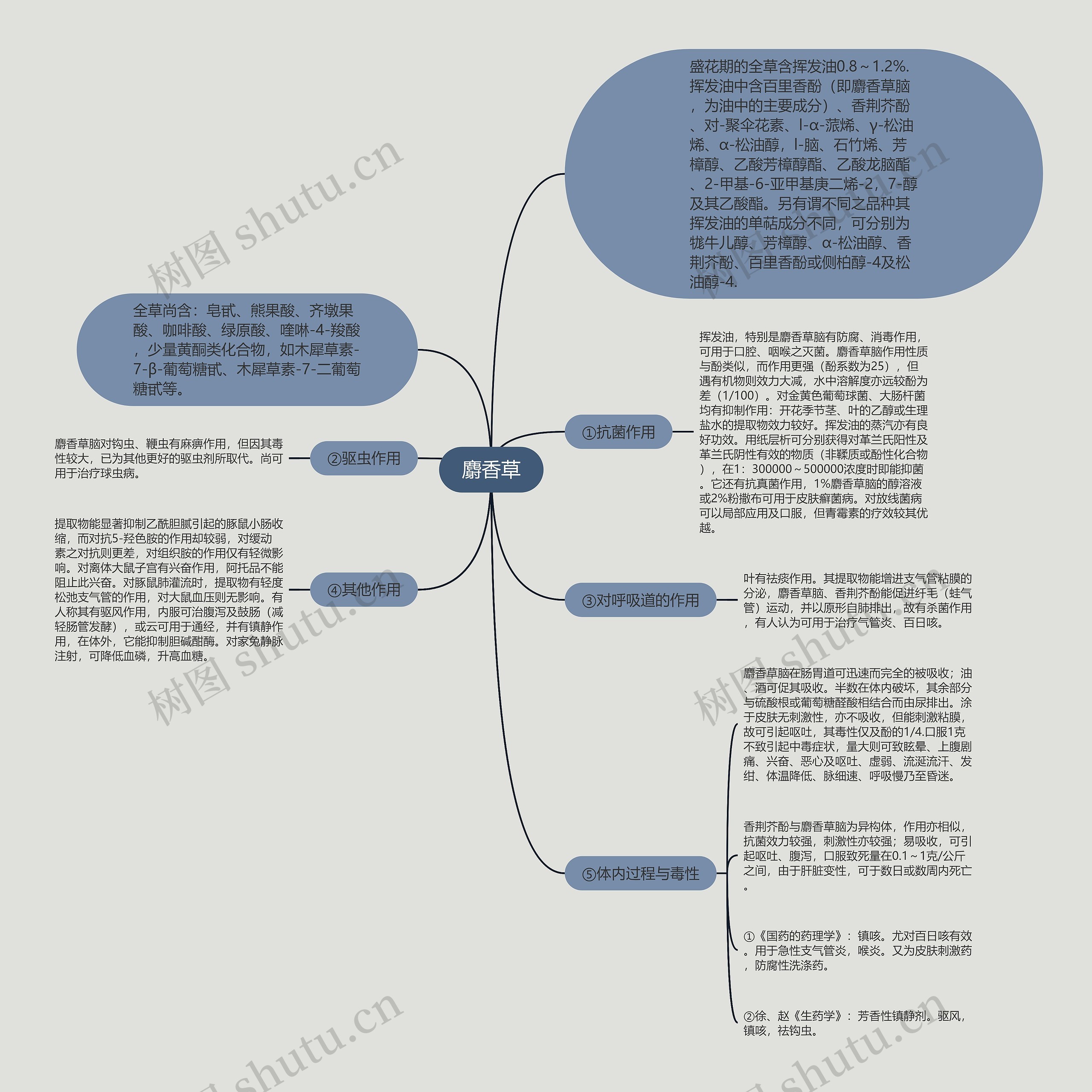 麝香草思维导图