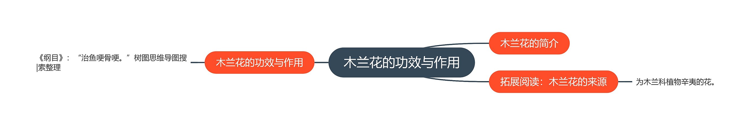 木兰花的功效与作用 木兰花的功效与作用