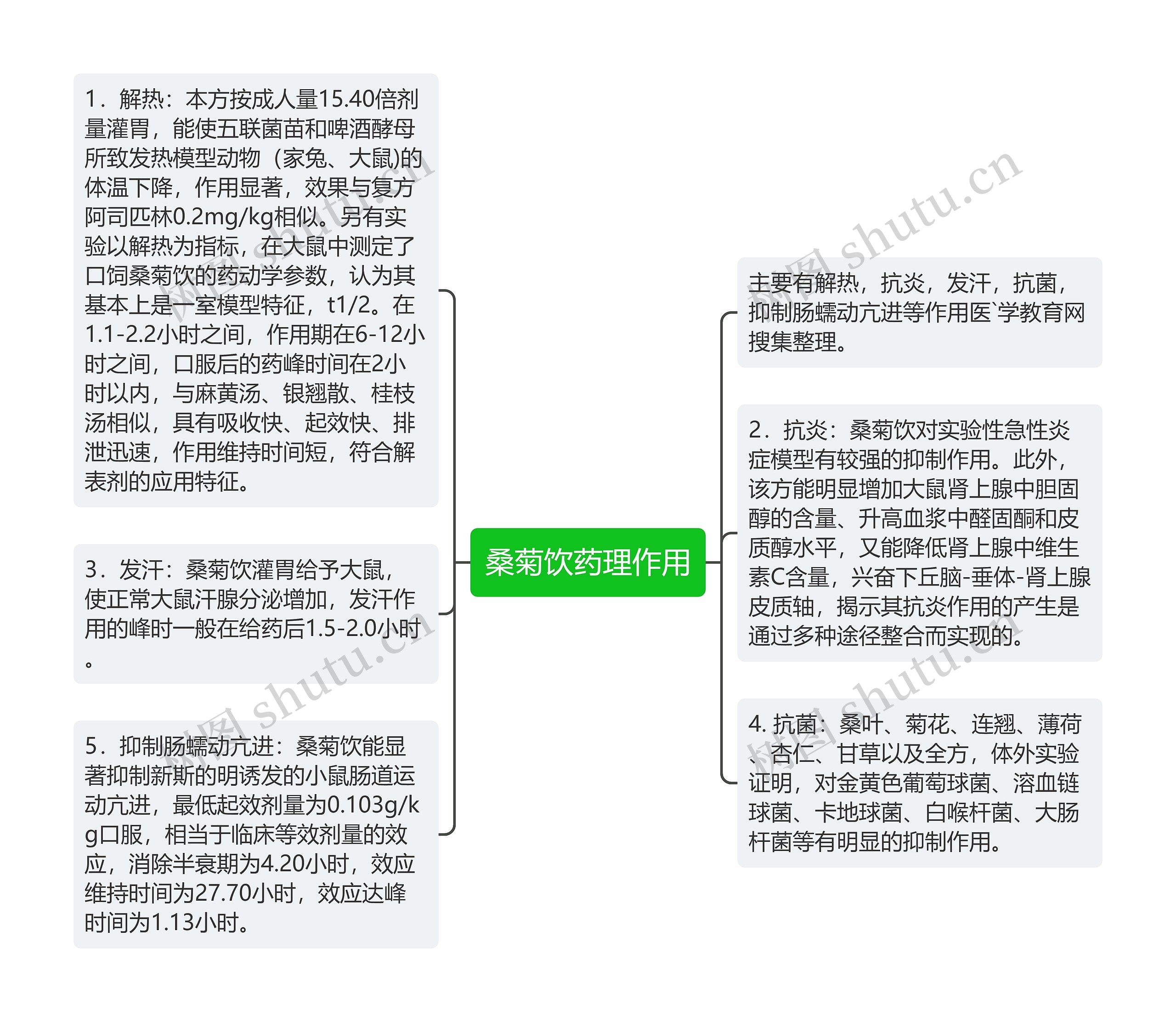 桑菊饮药理作用思维导图