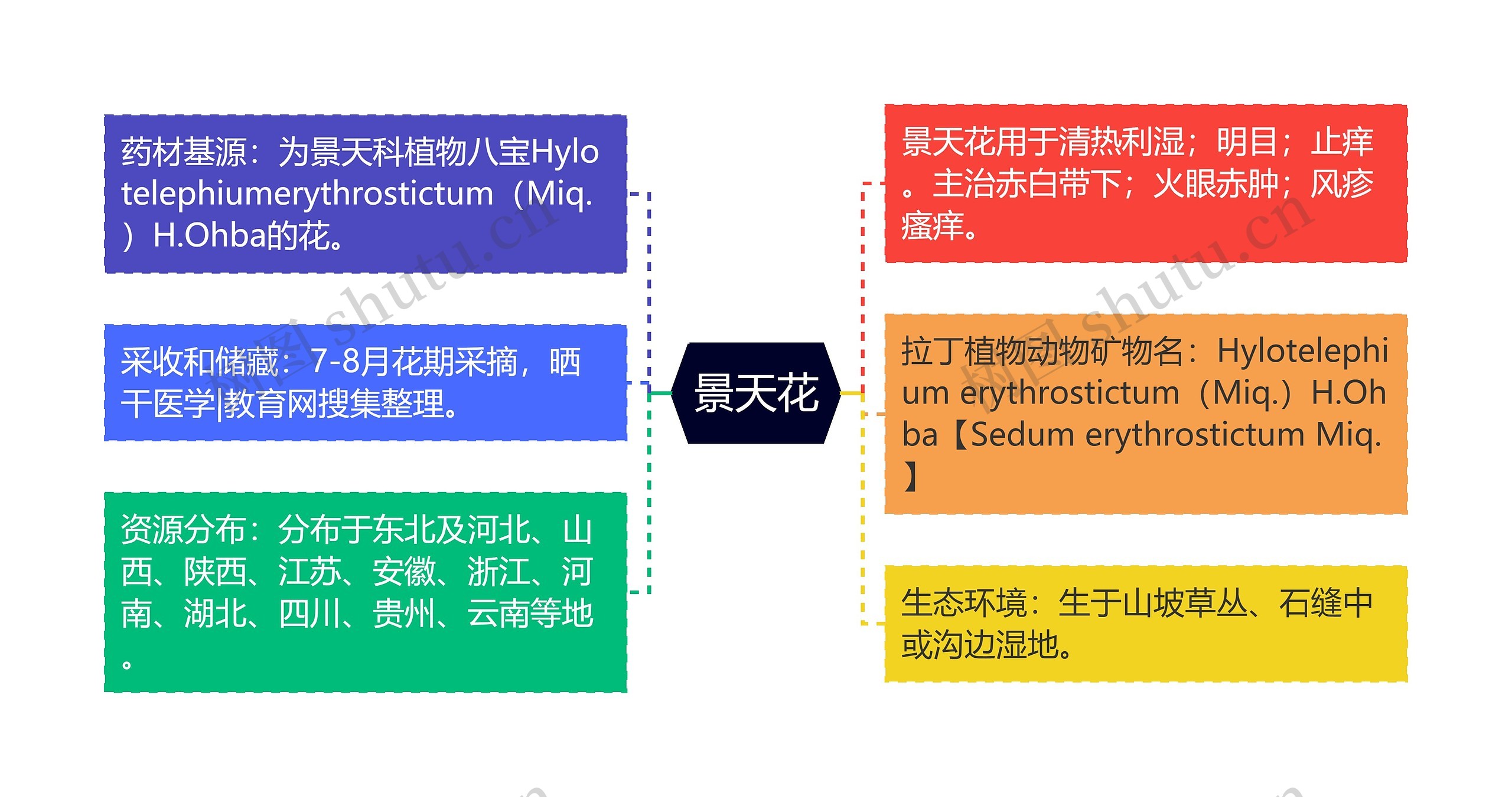 景天花思维导图