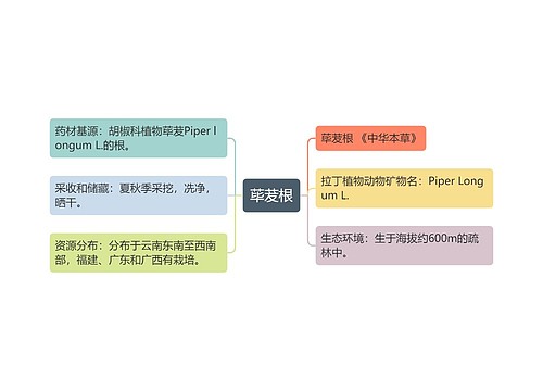 荜茇根