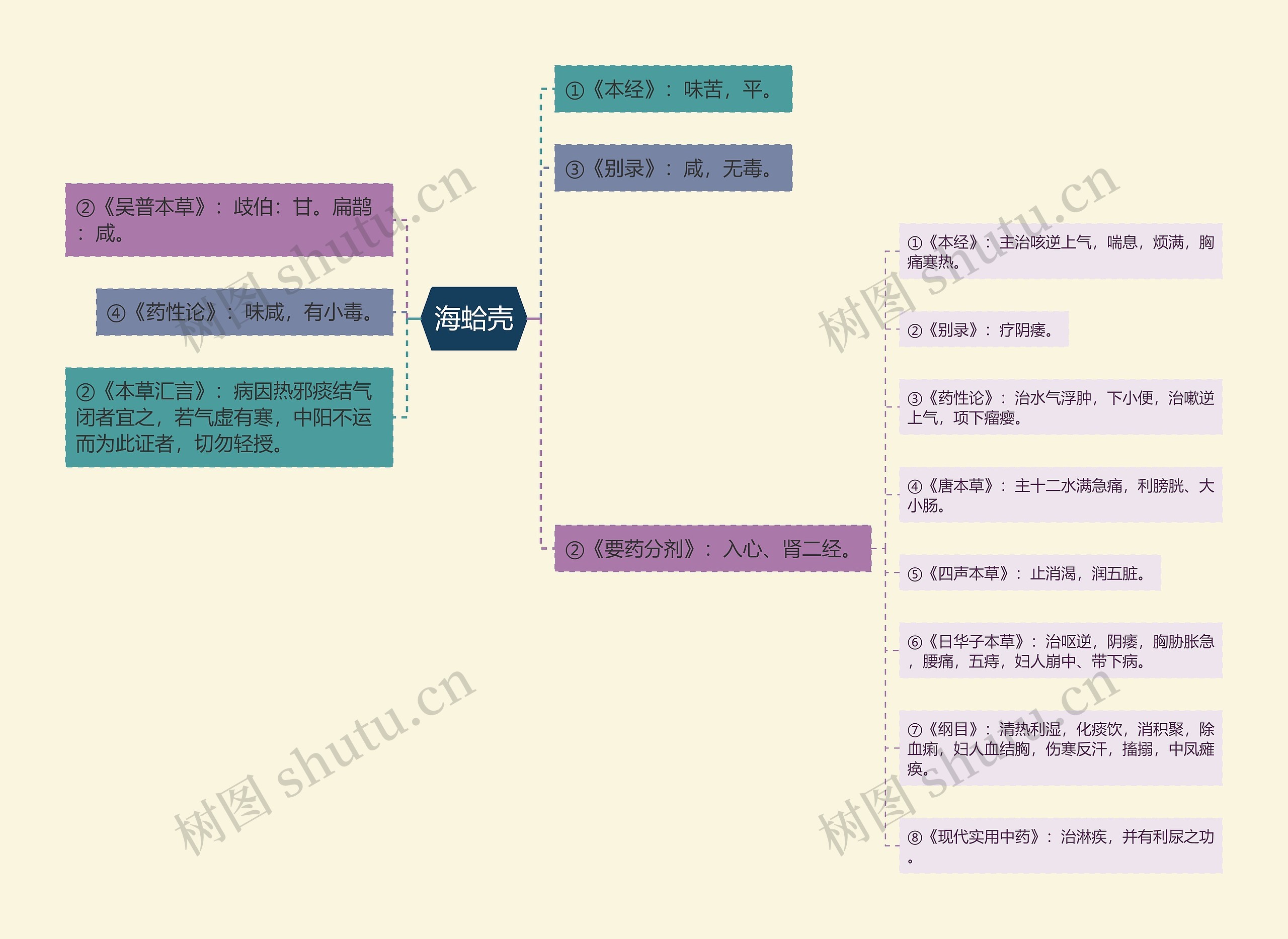 海蛤壳思维导图