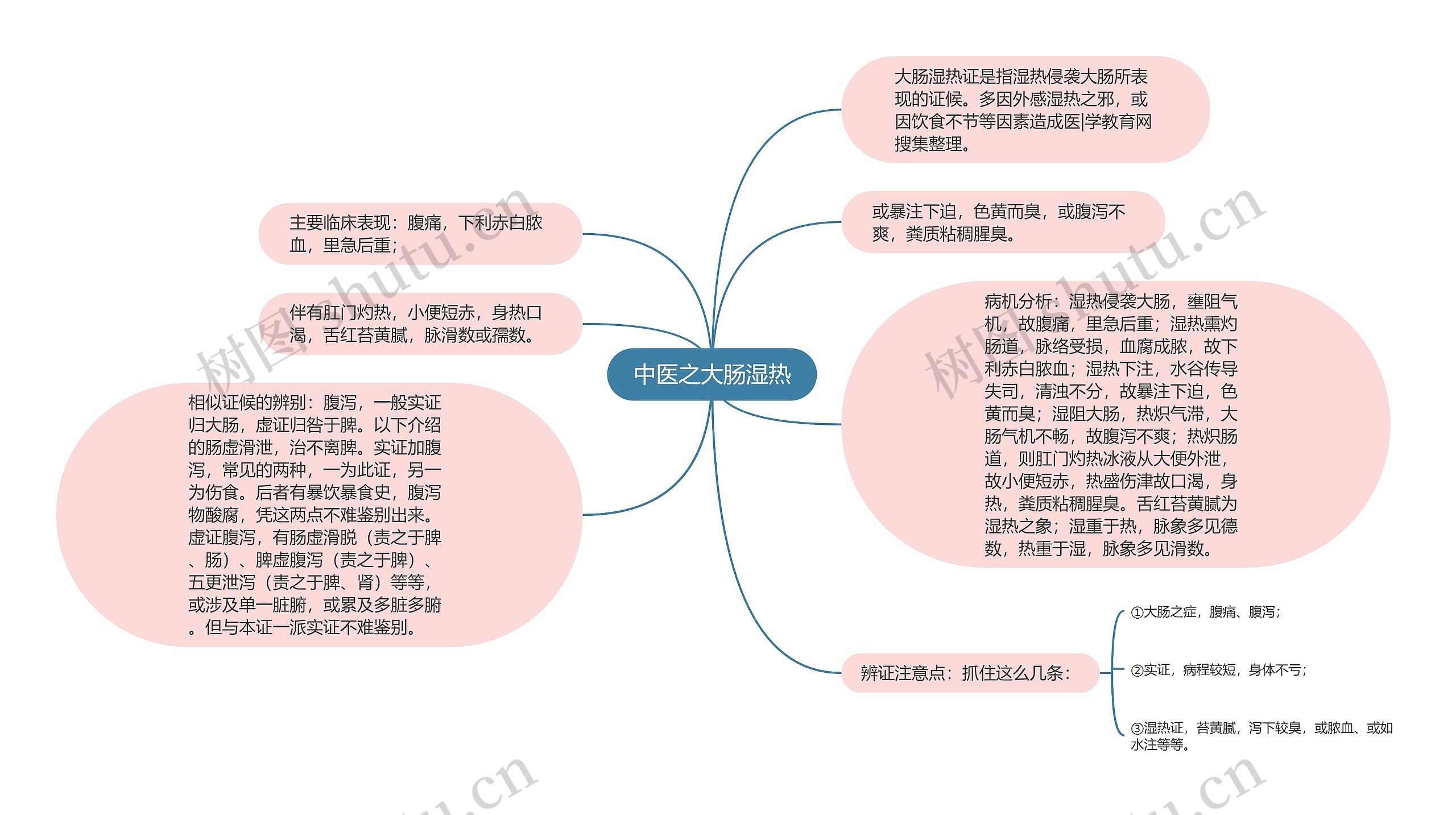 中医之大肠湿热思维导图