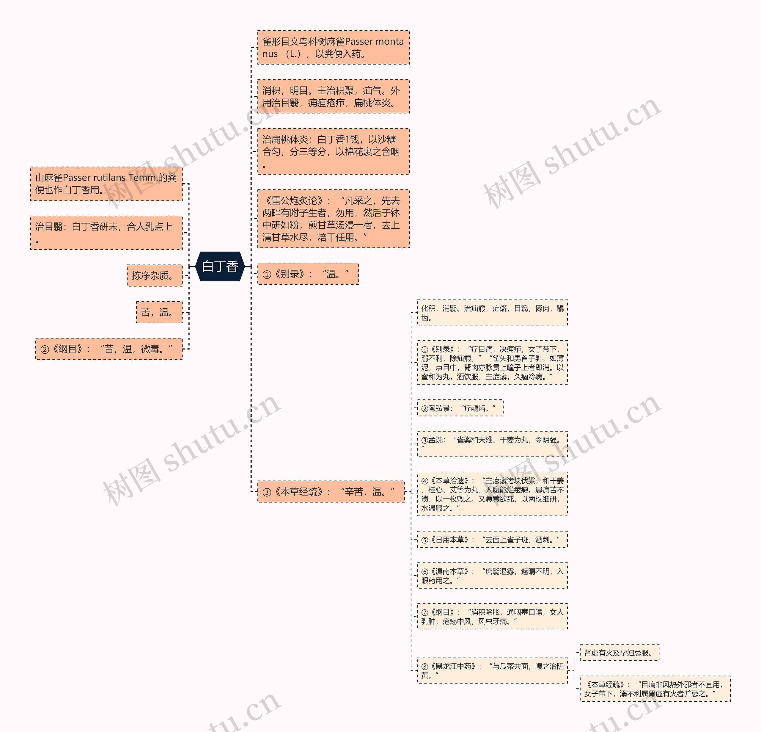 白丁香思维导图