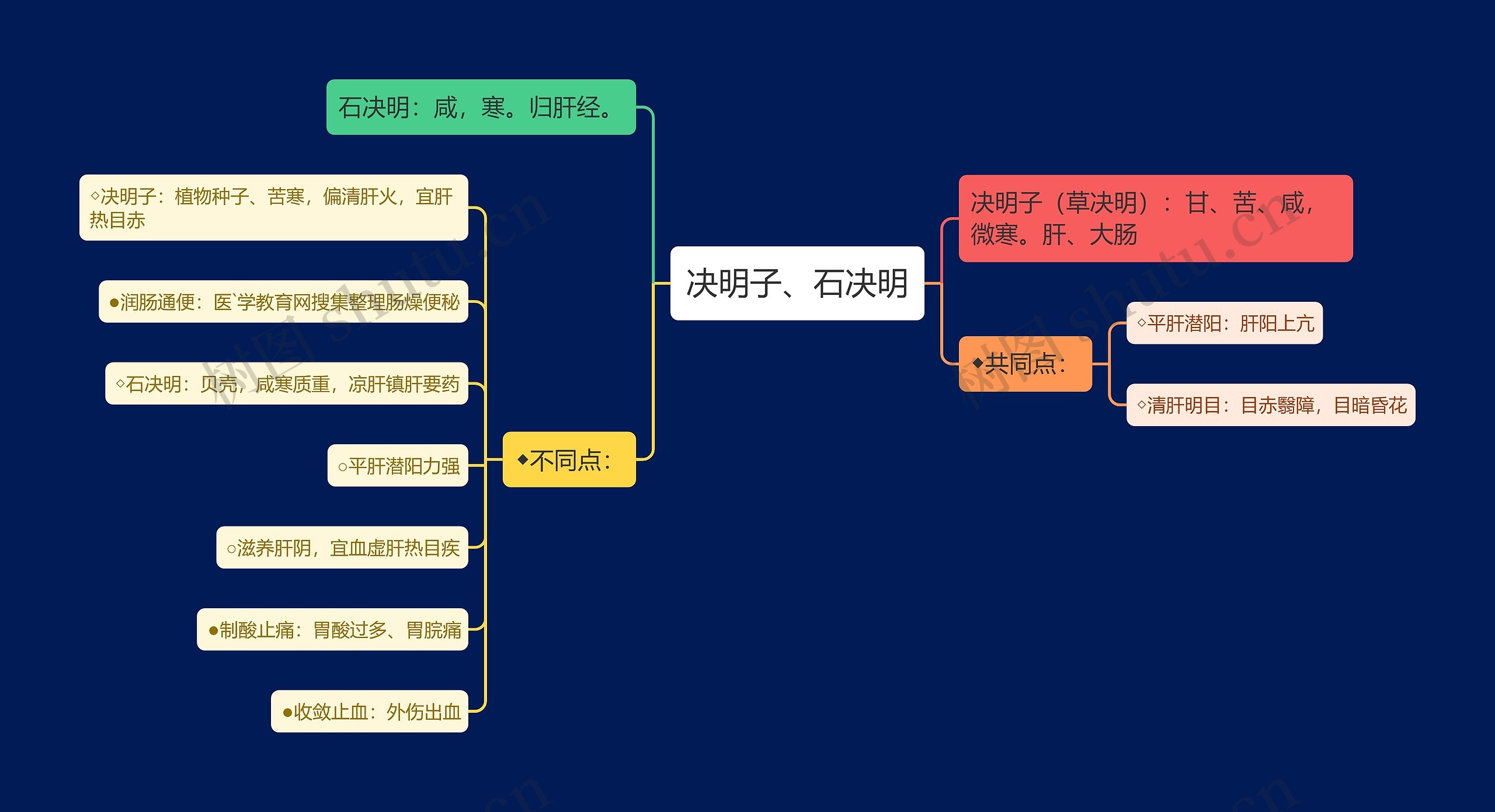 决明子、石决明思维导图