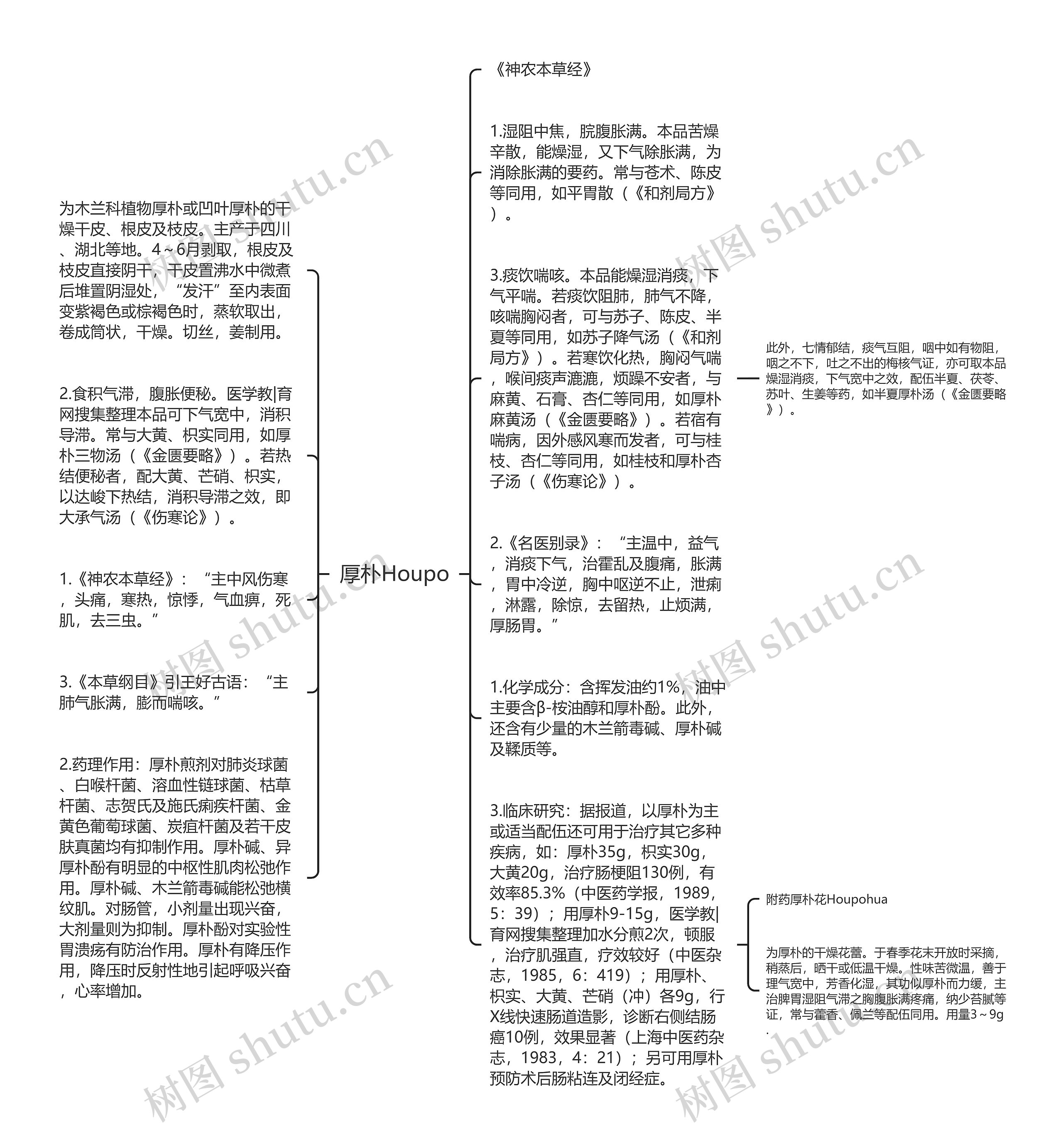 厚朴Houpo思维导图