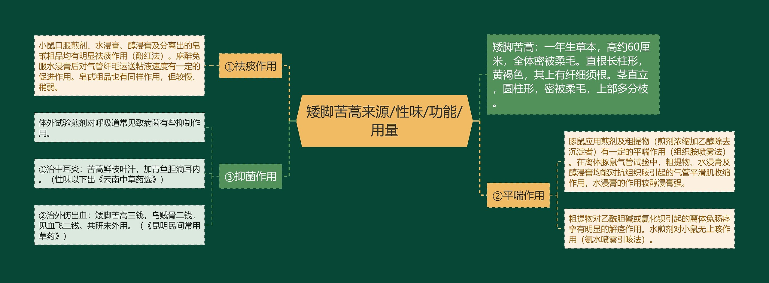 矮脚苦蒿来源/性味/功能/用量