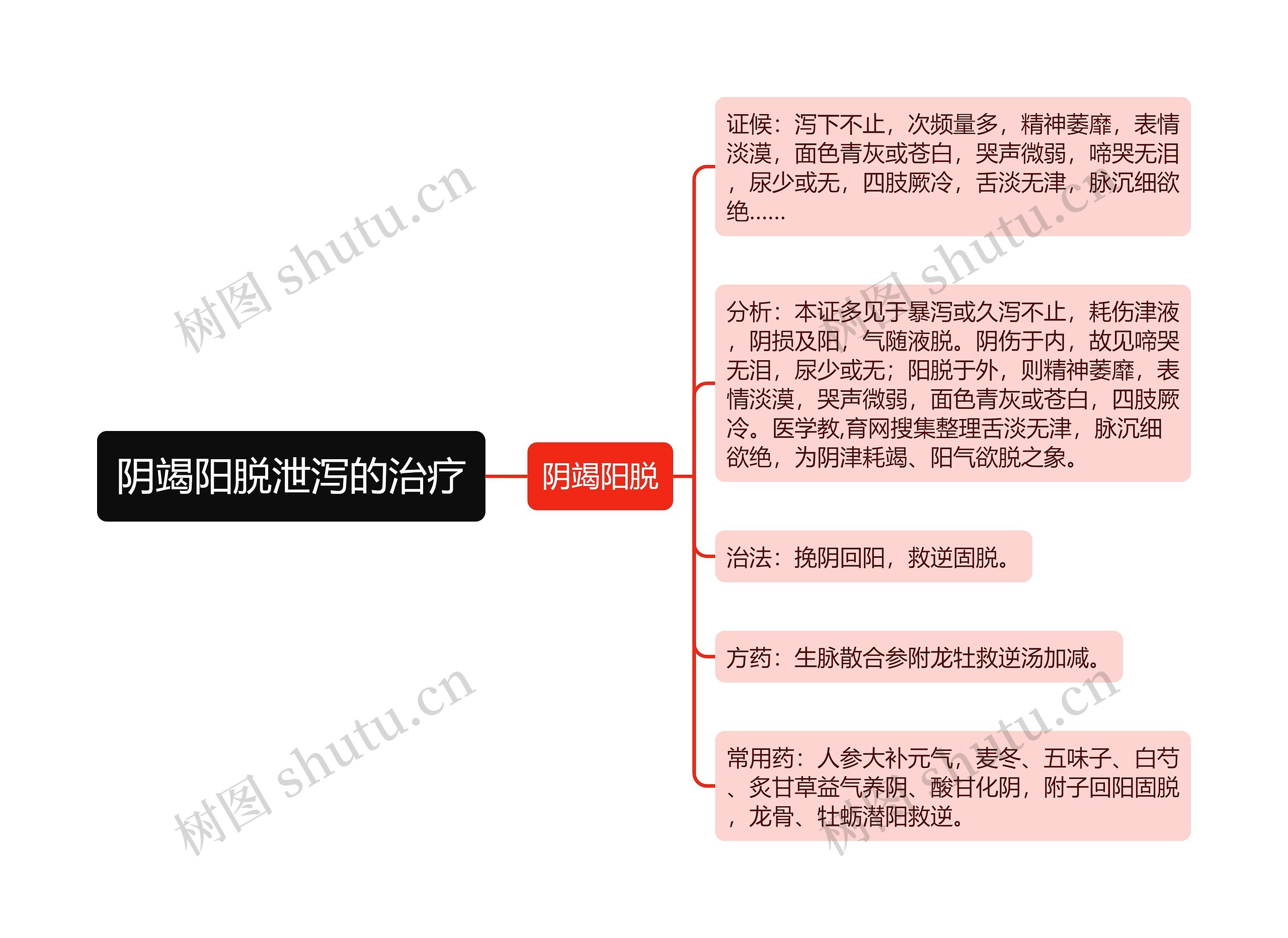 阴竭阳脱泄泻的治疗思维导图