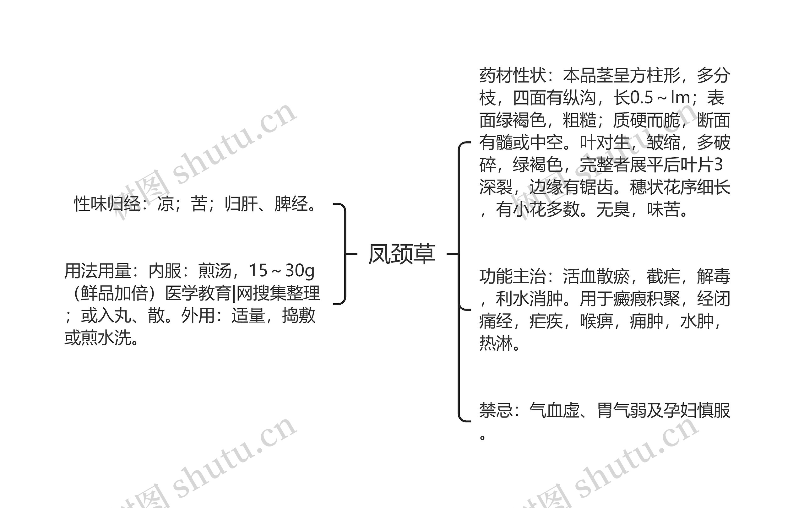 凤颈草思维导图