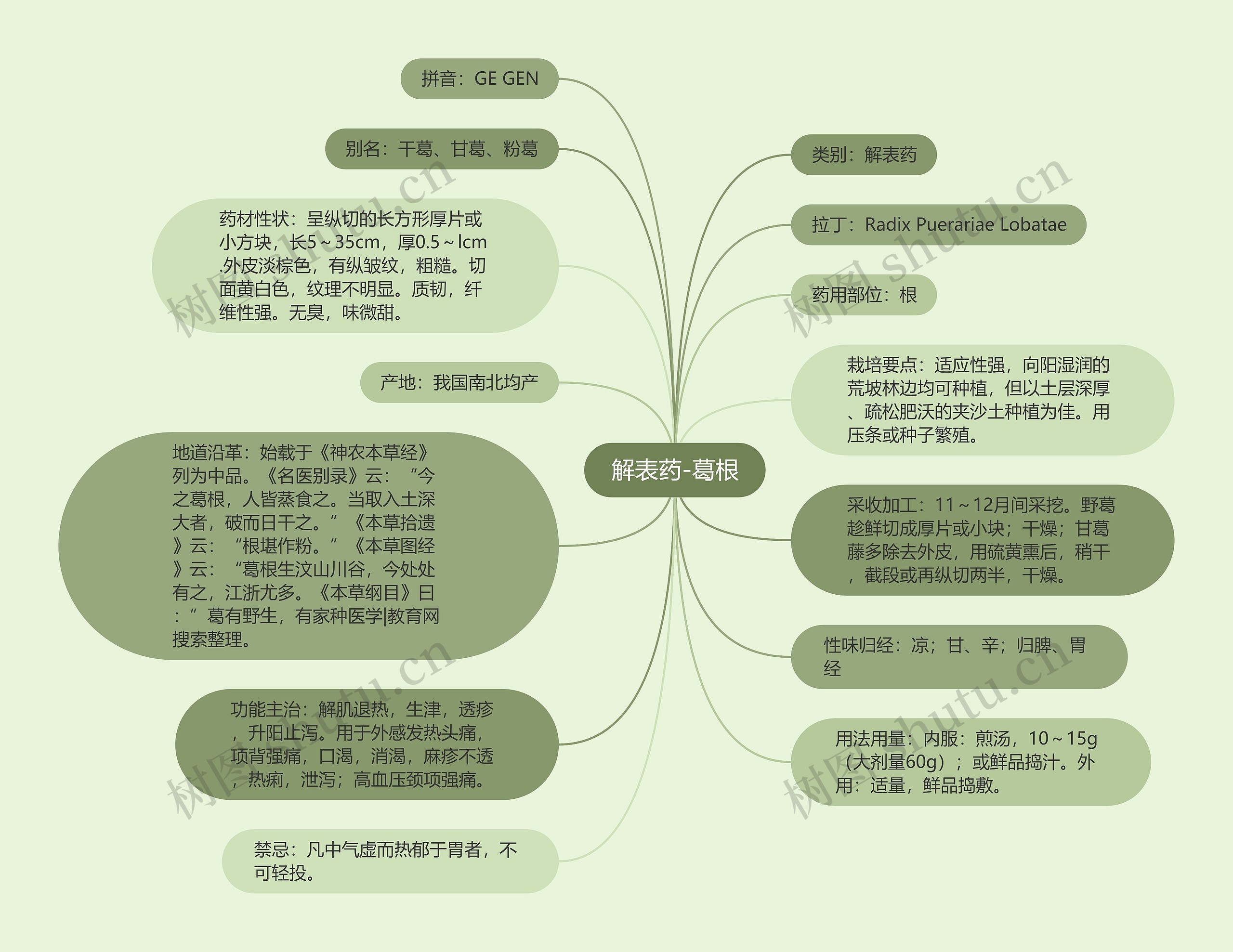 解表药-葛根思维导图