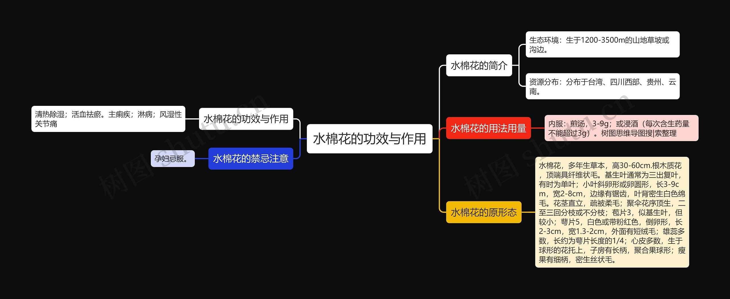 水棉花的功效与作用思维导图