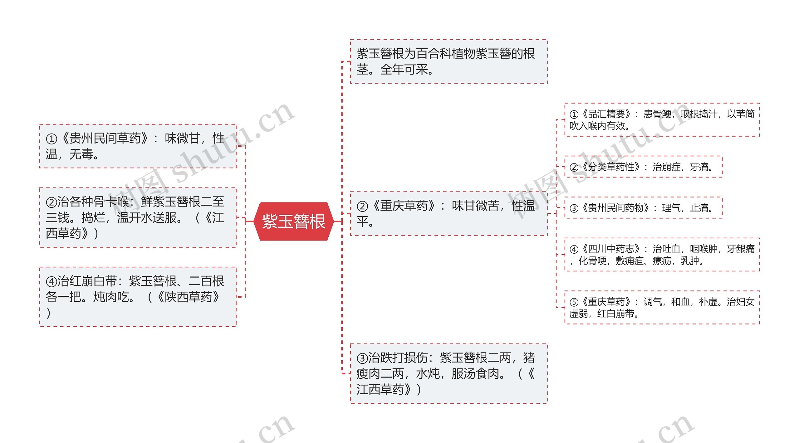 紫玉簪根