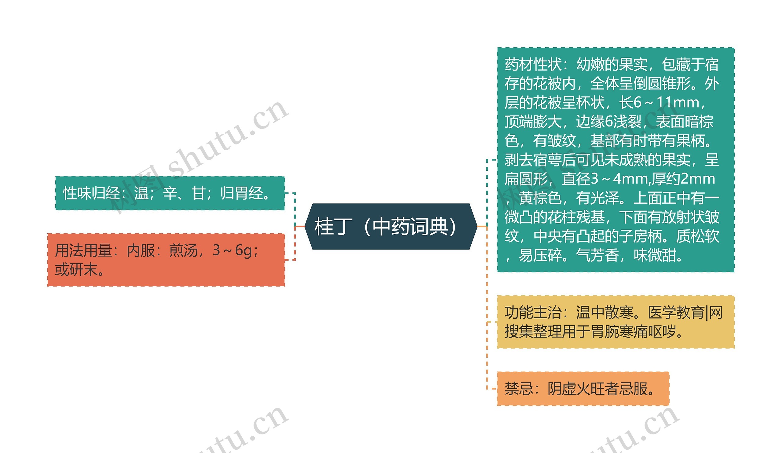 桂丁（中药词典）