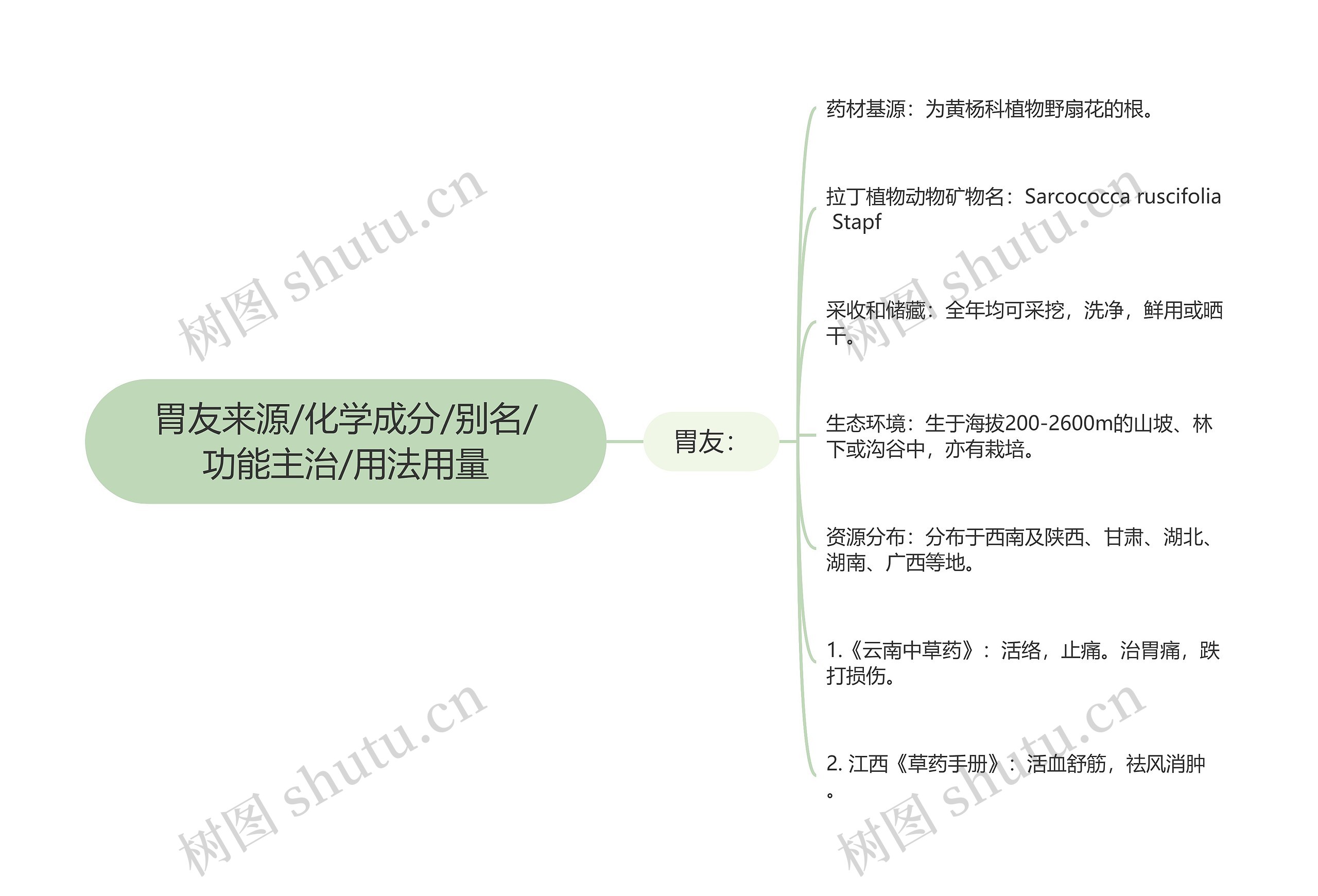 胃友来源/化学成分/别名/功能主治/用法用量思维导图