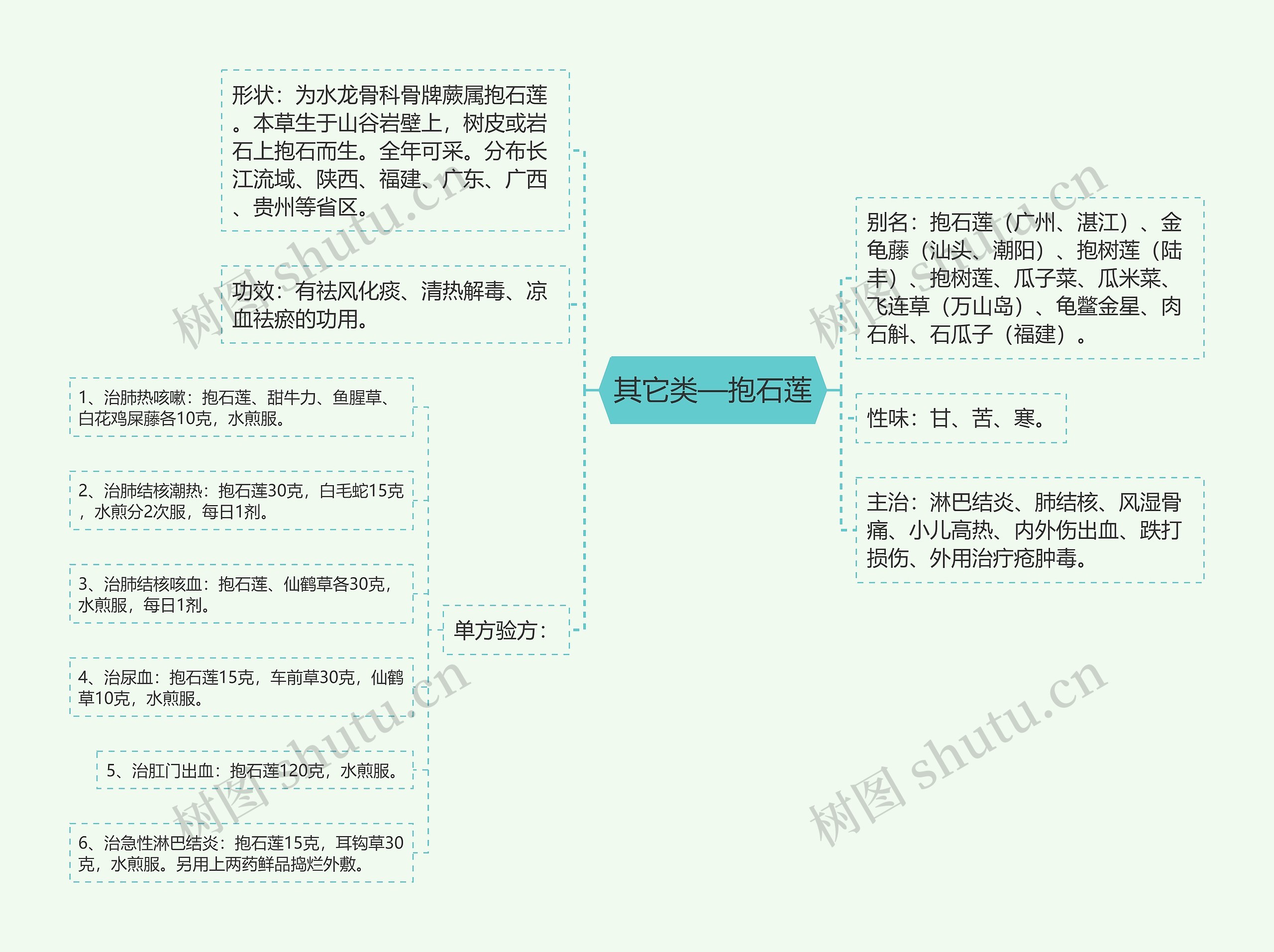 其它类—抱石莲思维导图