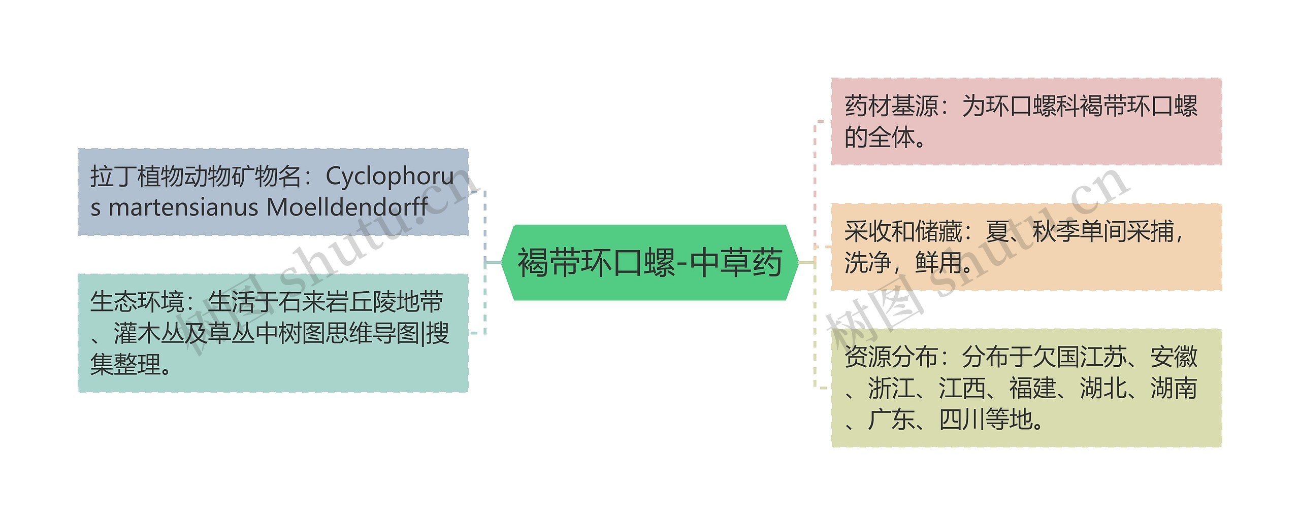 褐带环口螺-中草药