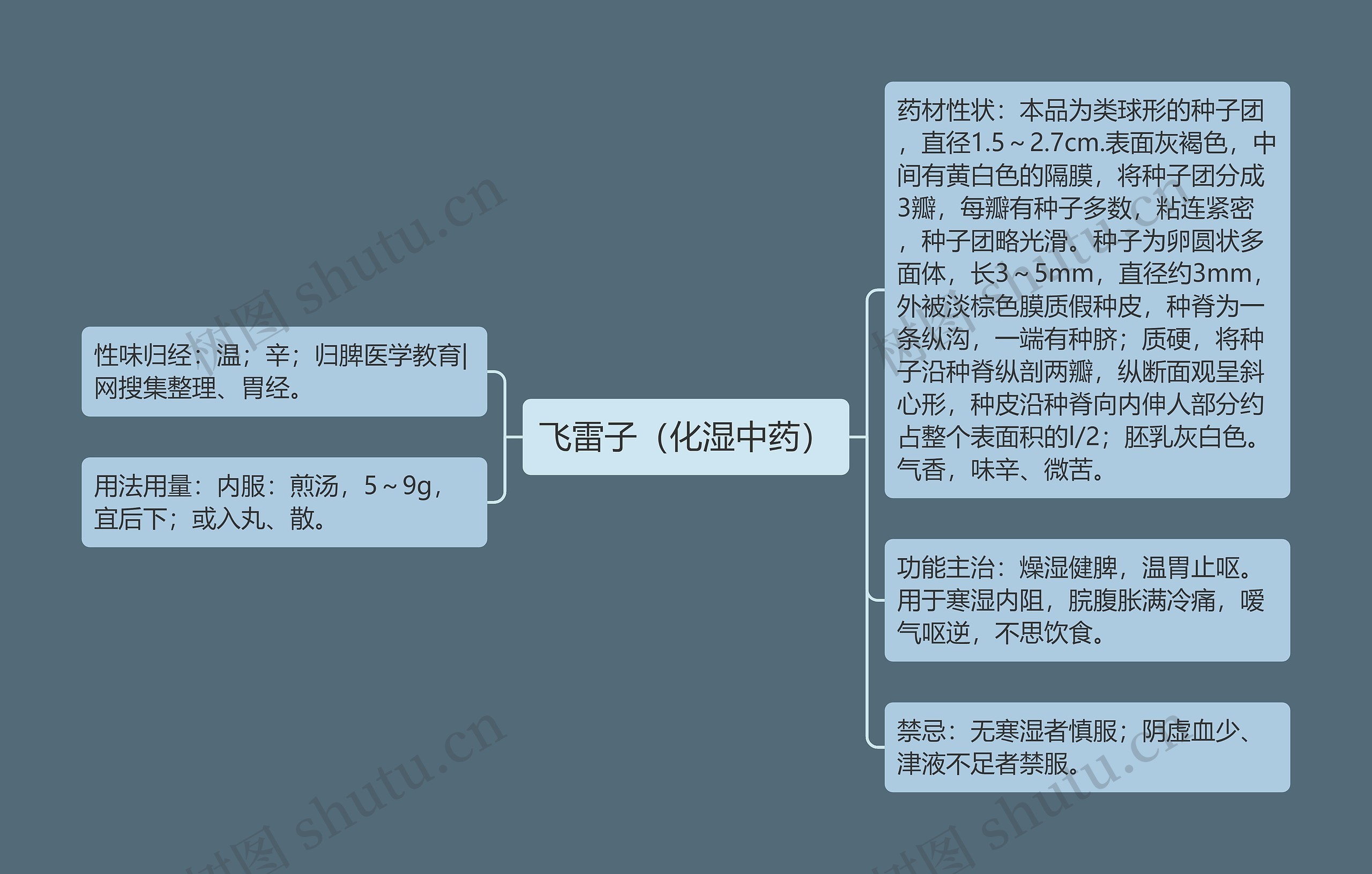 飞雷子（化湿中药）思维导图