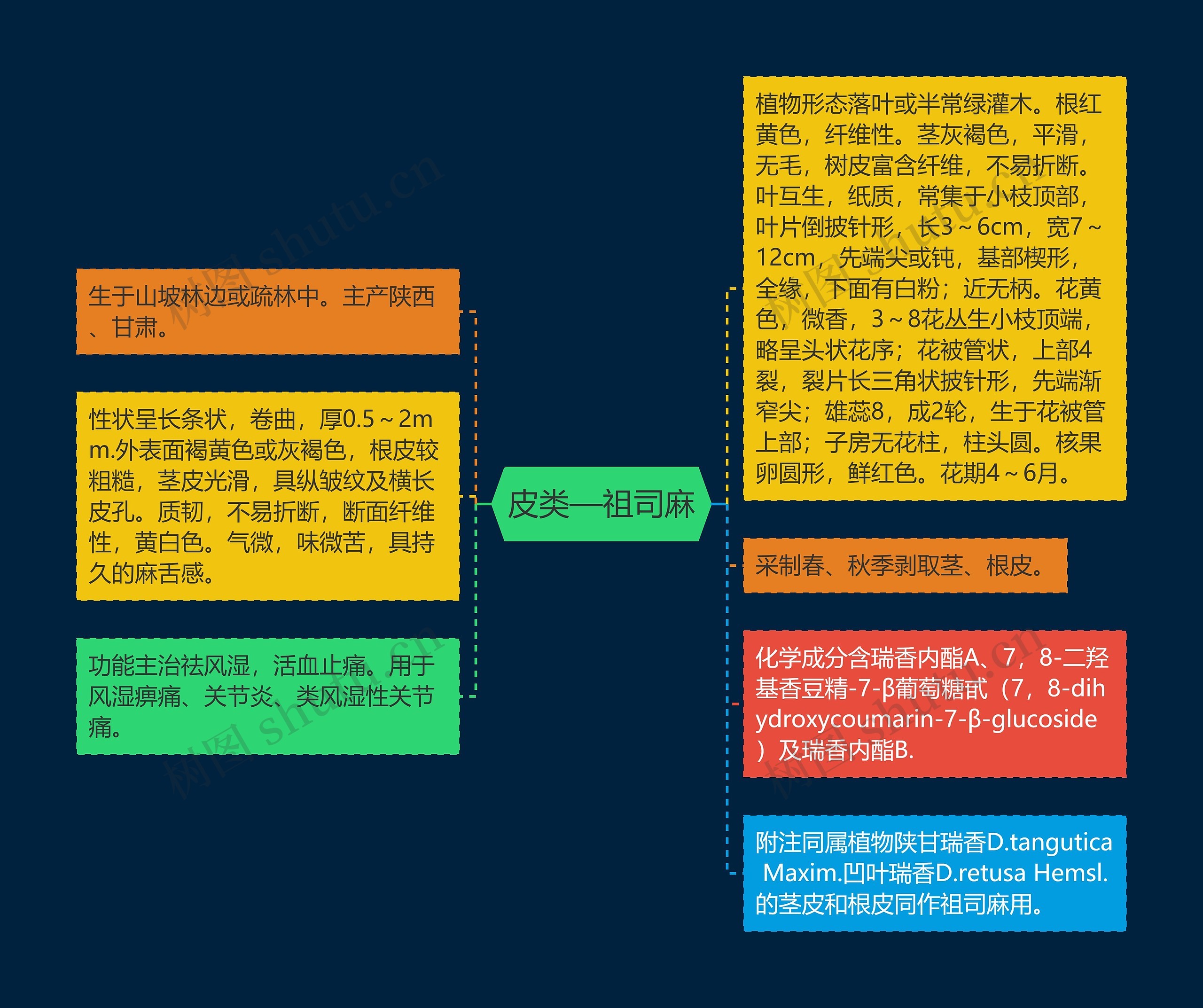 皮类—祖司麻思维导图