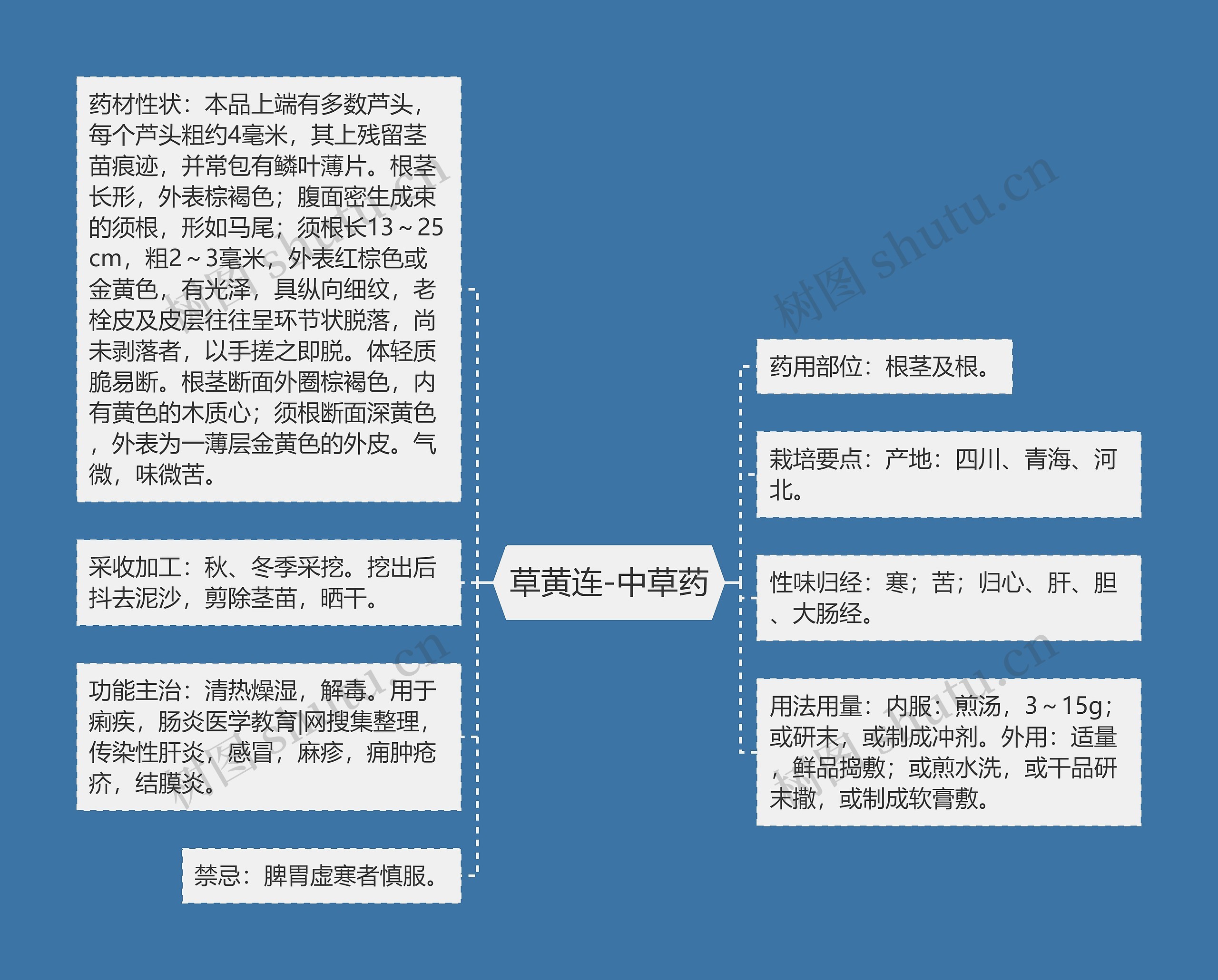 草黄连-中草药思维导图