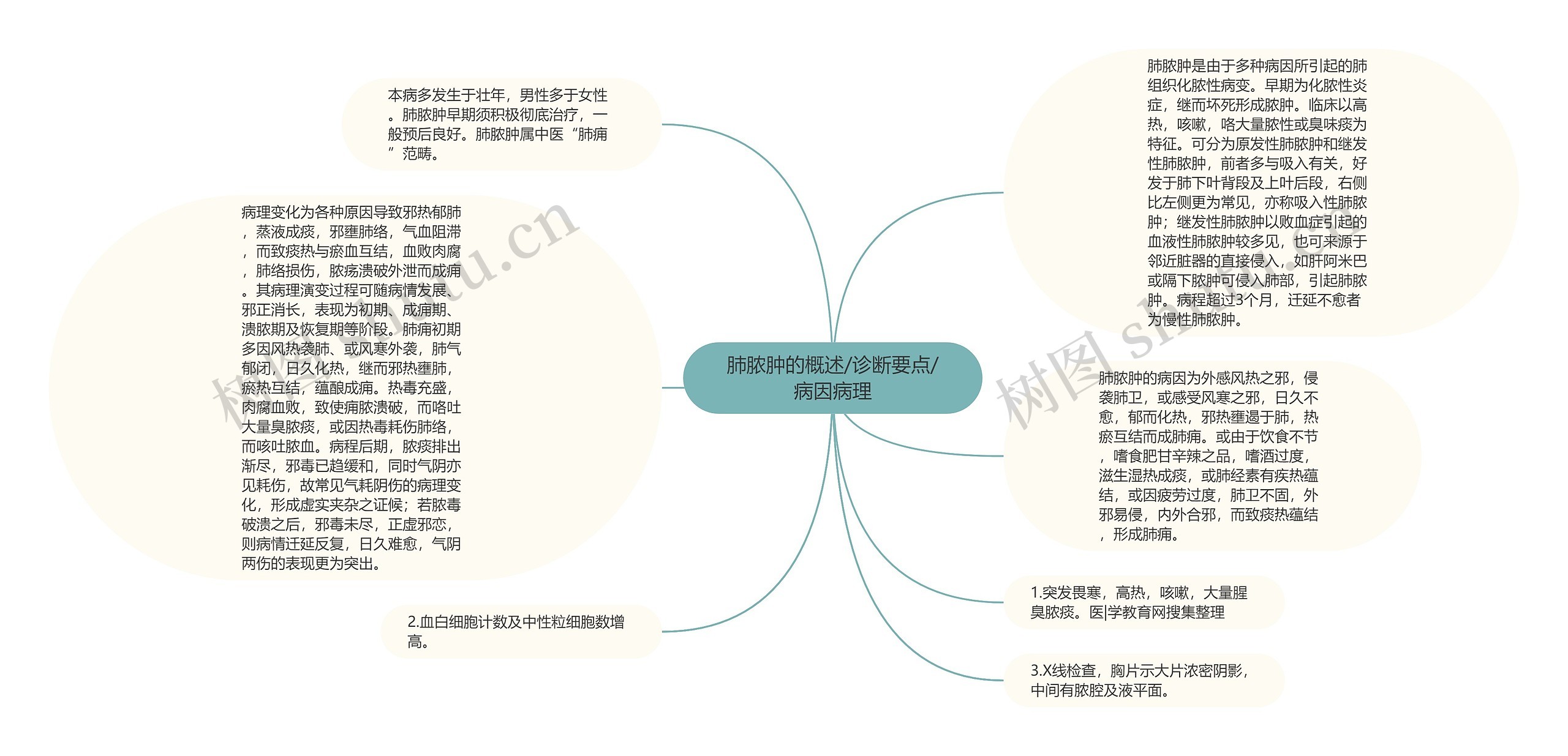 肺脓肿的概述/诊断要点/病因病理思维导图