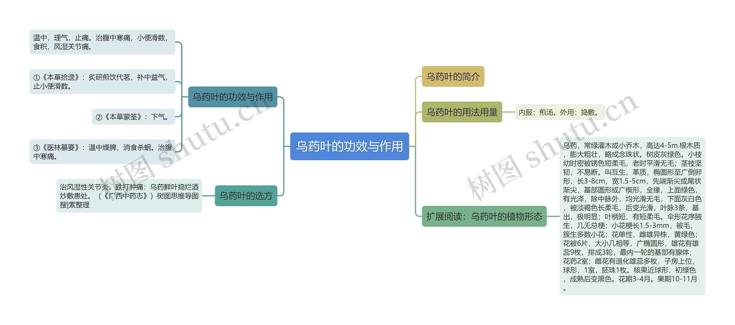 乌药叶的功效与作用思维导图