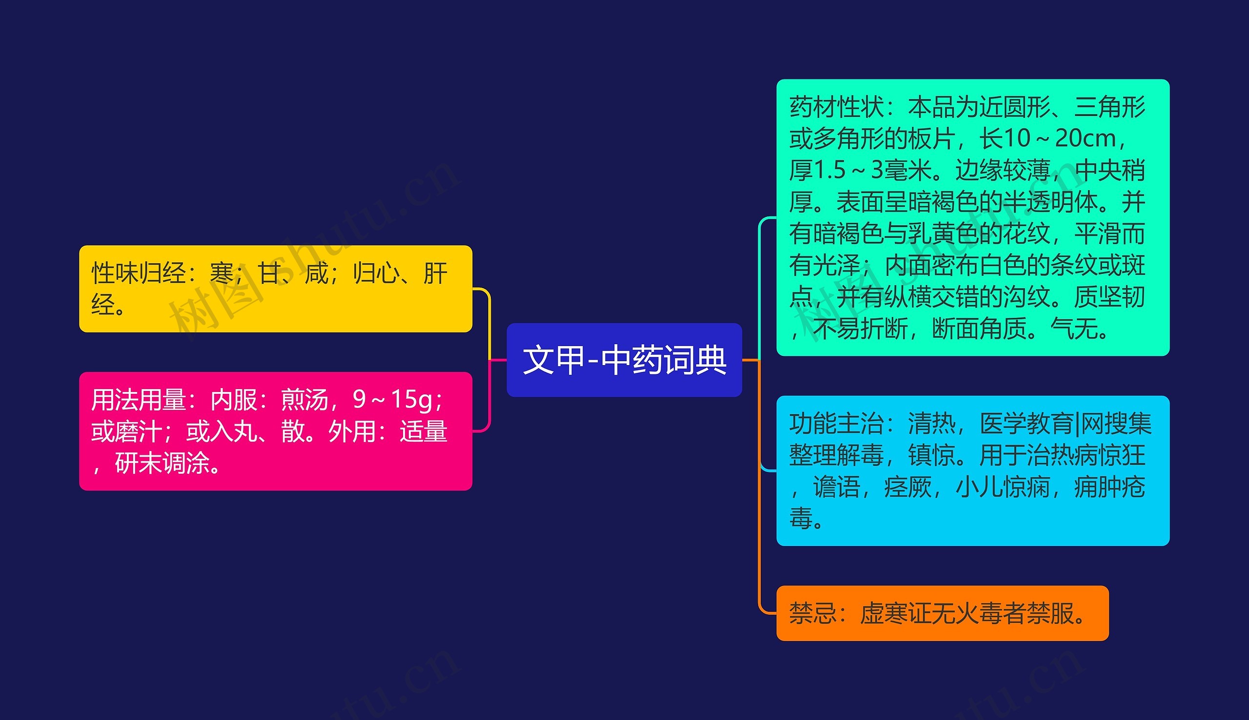 文甲-中药词典思维导图