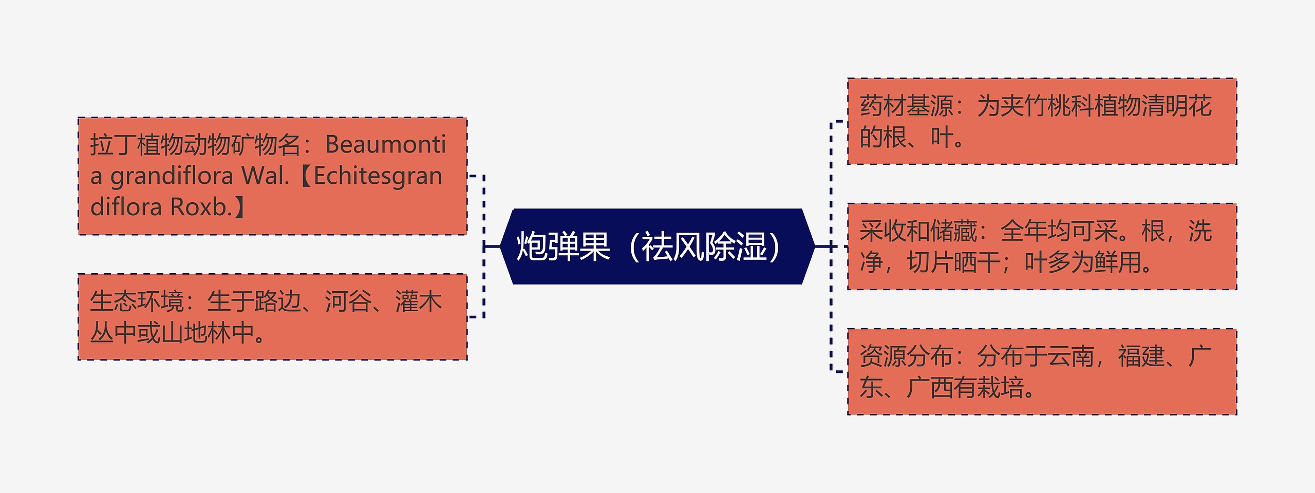 炮弹果（祛风除湿）思维导图