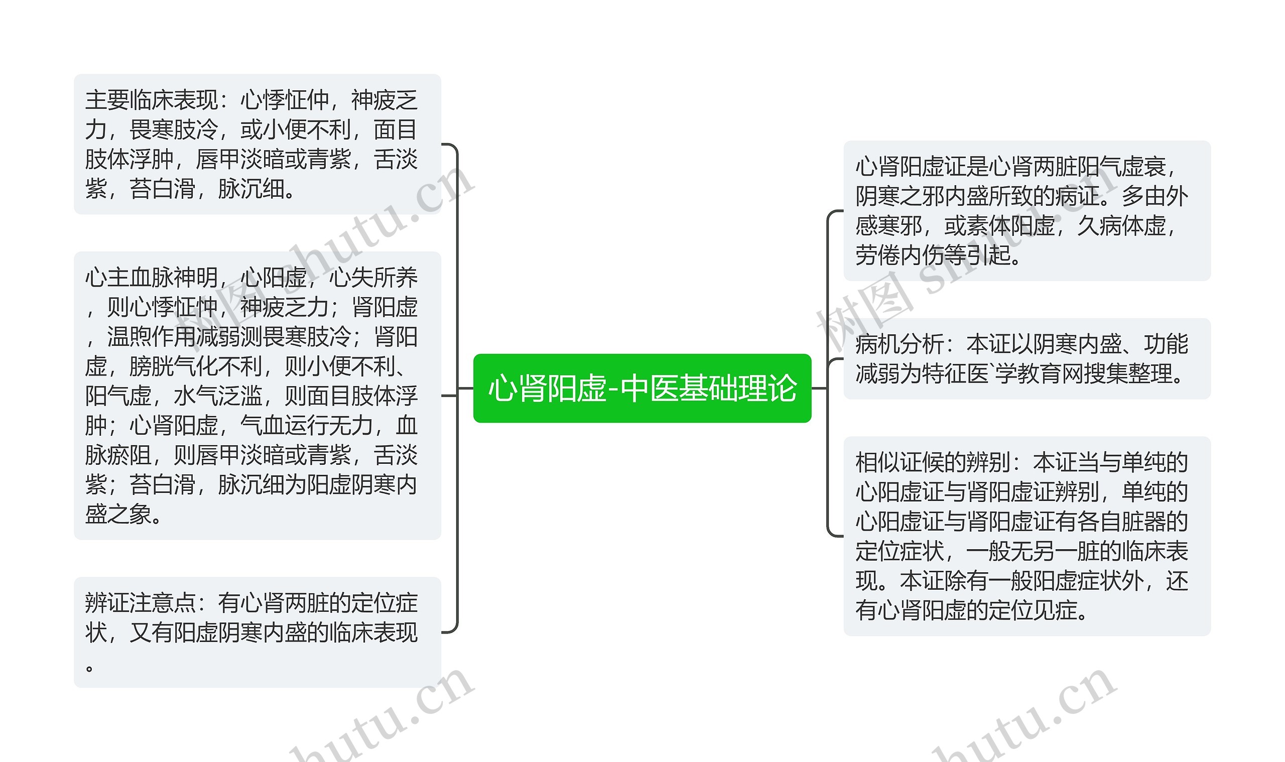 心肾阳虚-中医基础理论