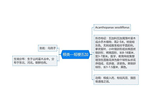 根类—短梗五加