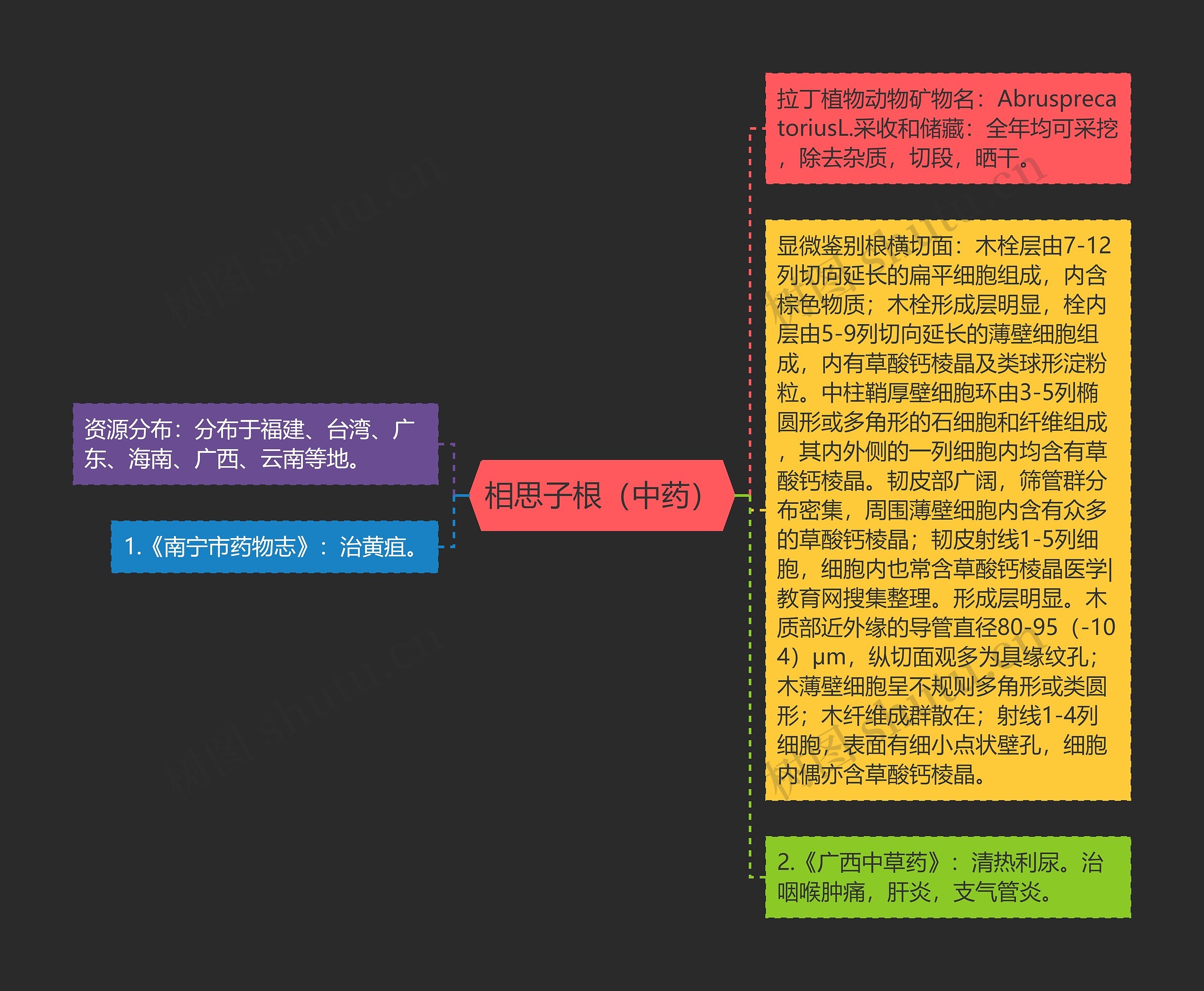 相思子根（中药）思维导图