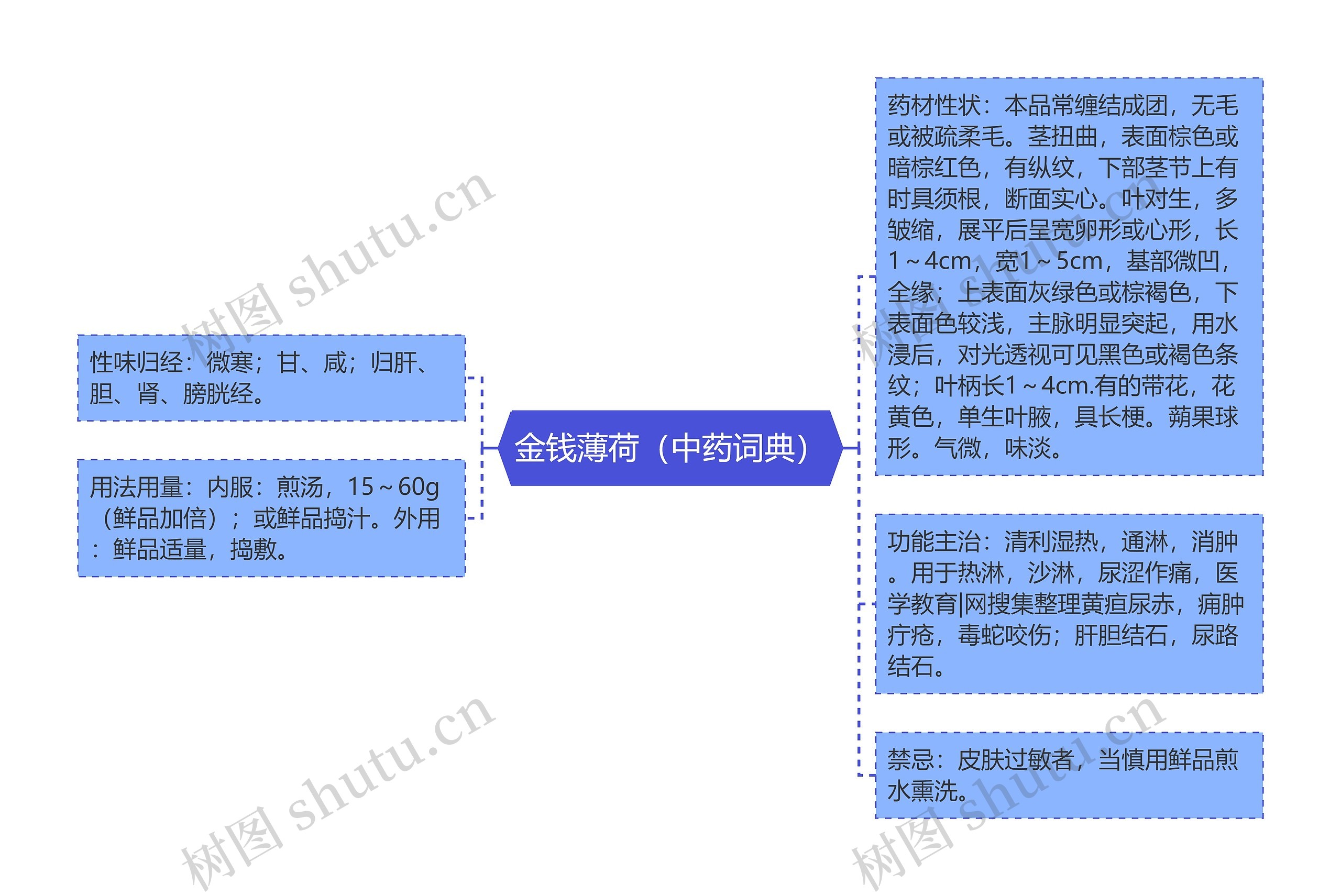 金钱薄荷（中药词典）