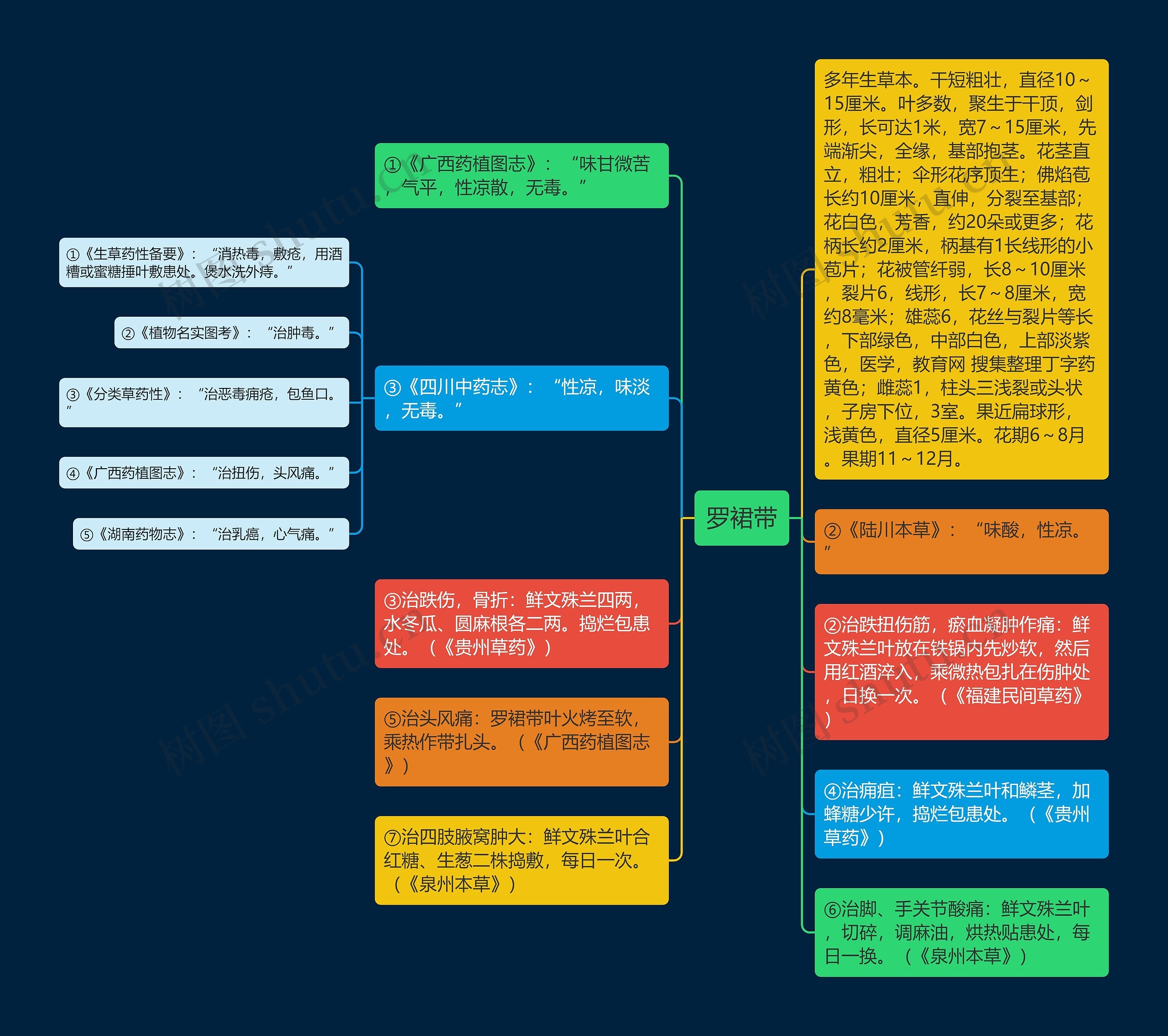 罗裙带思维导图