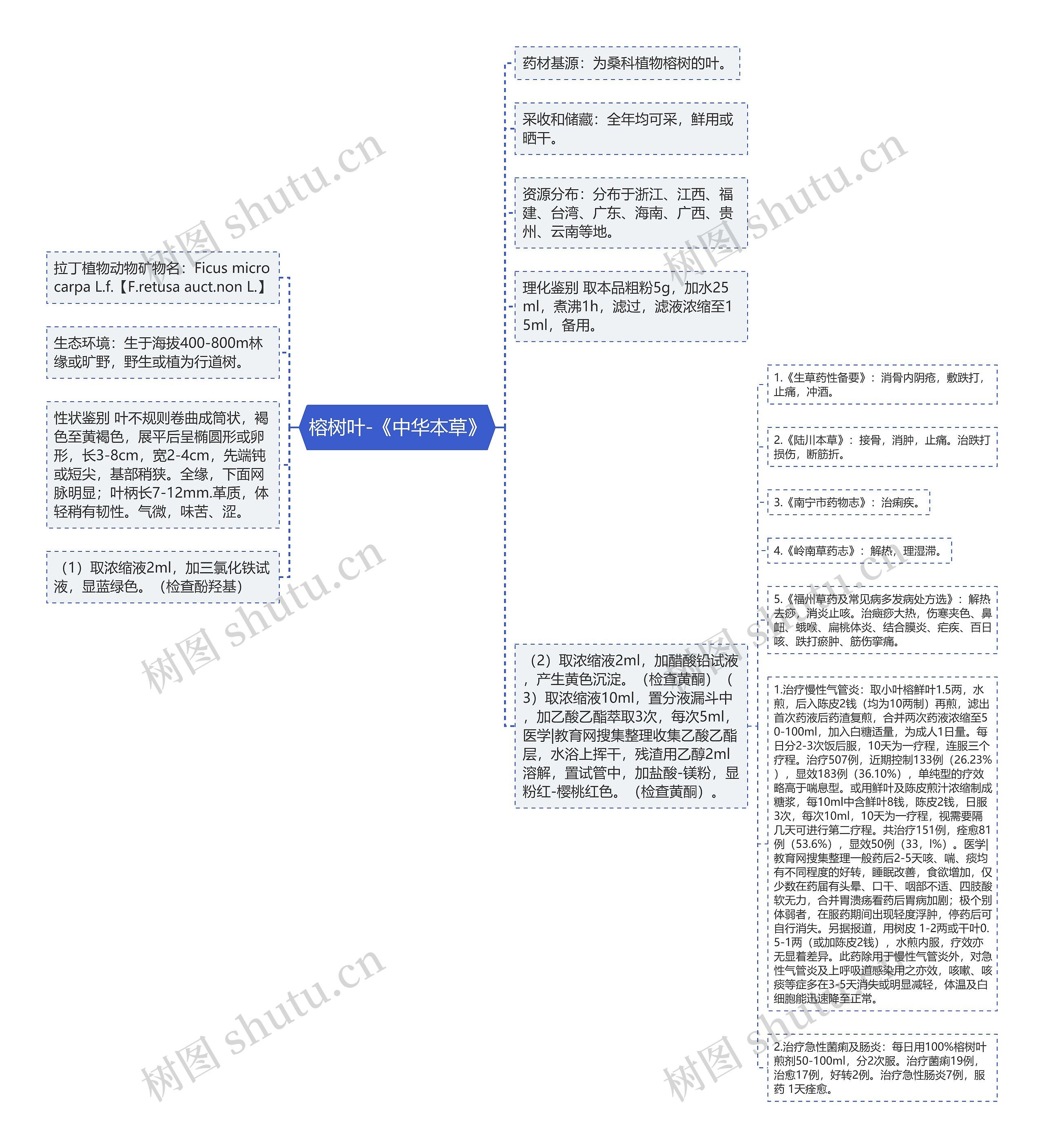 榕树叶-《中华本草》思维导图