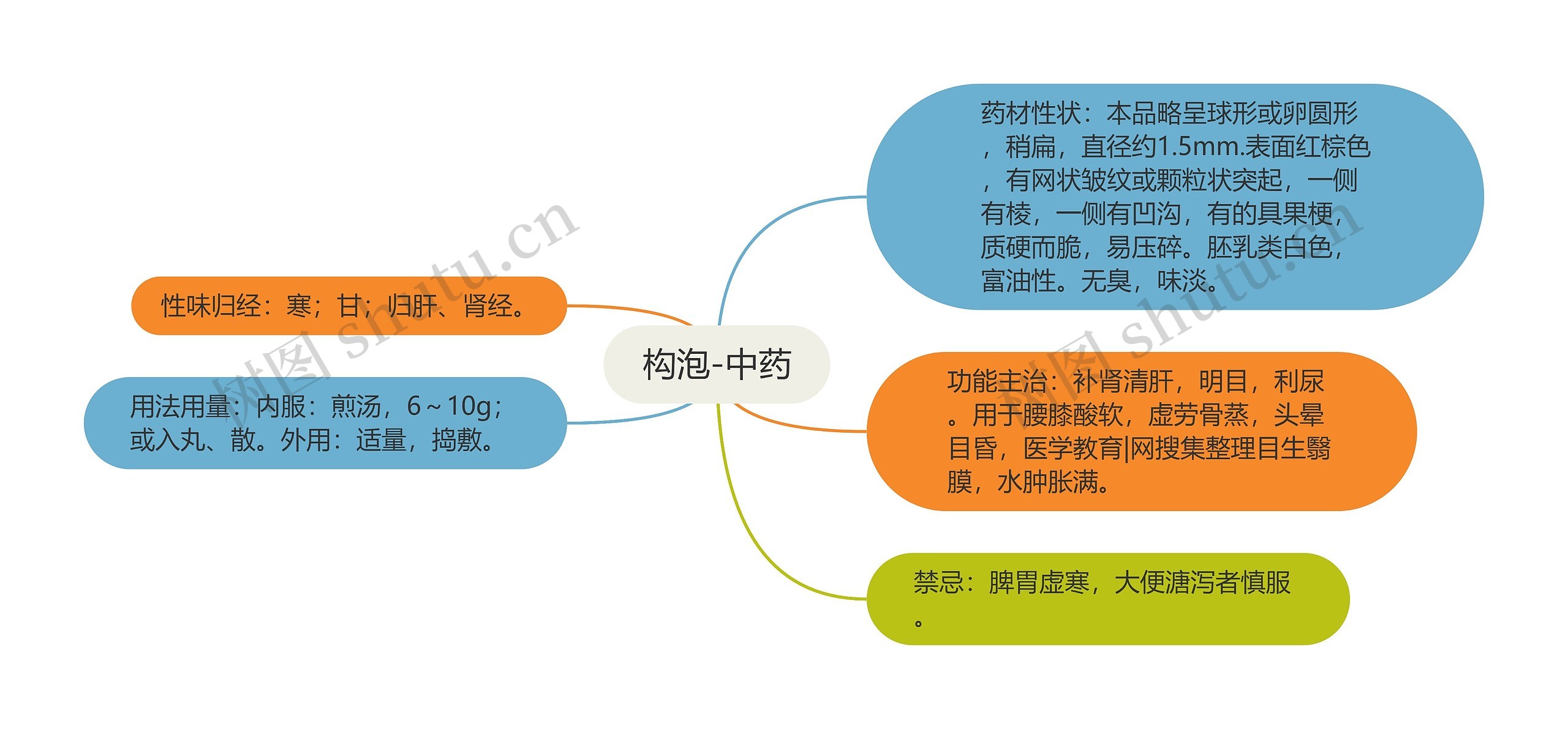 构泡-中药思维导图