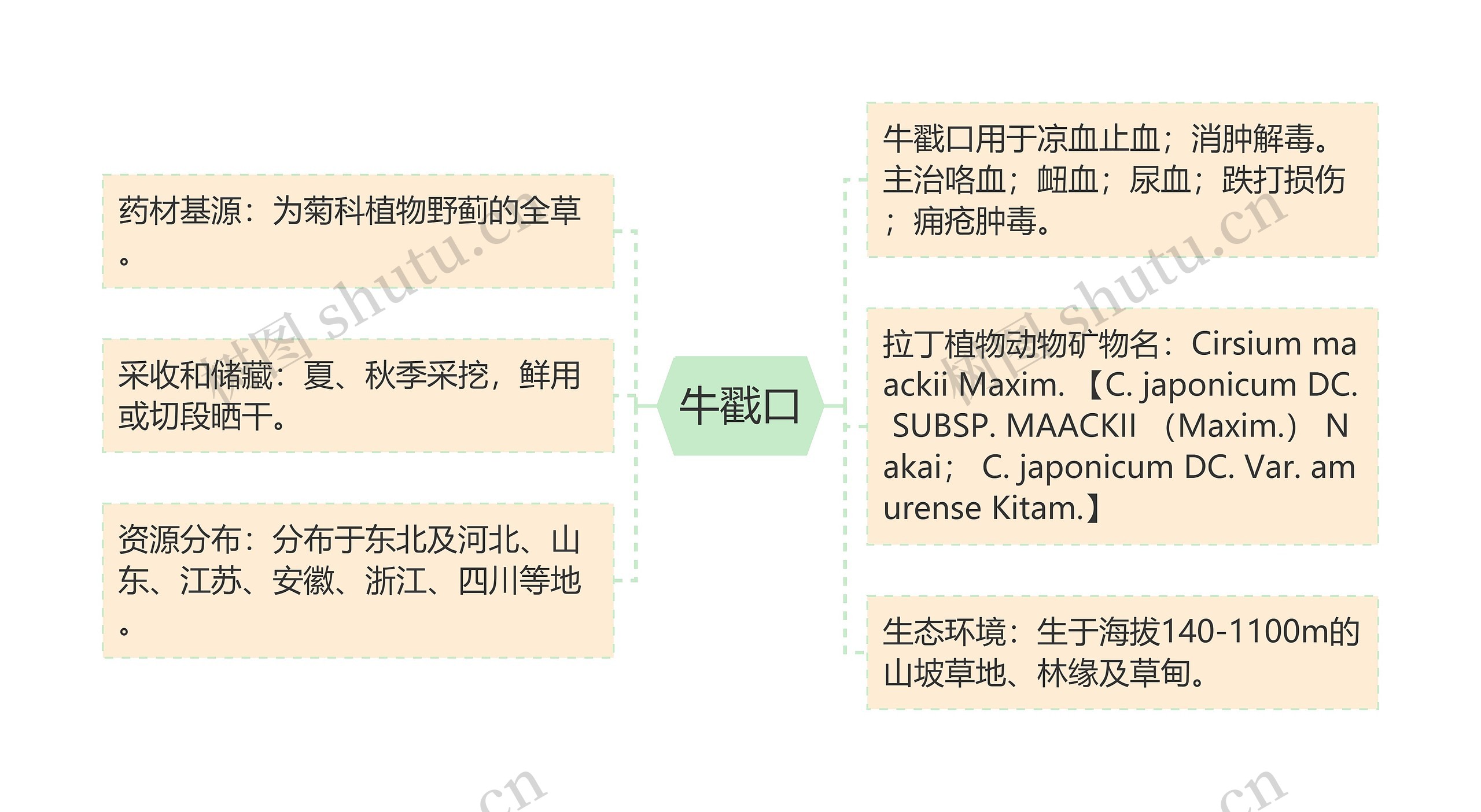 牛戳口思维导图