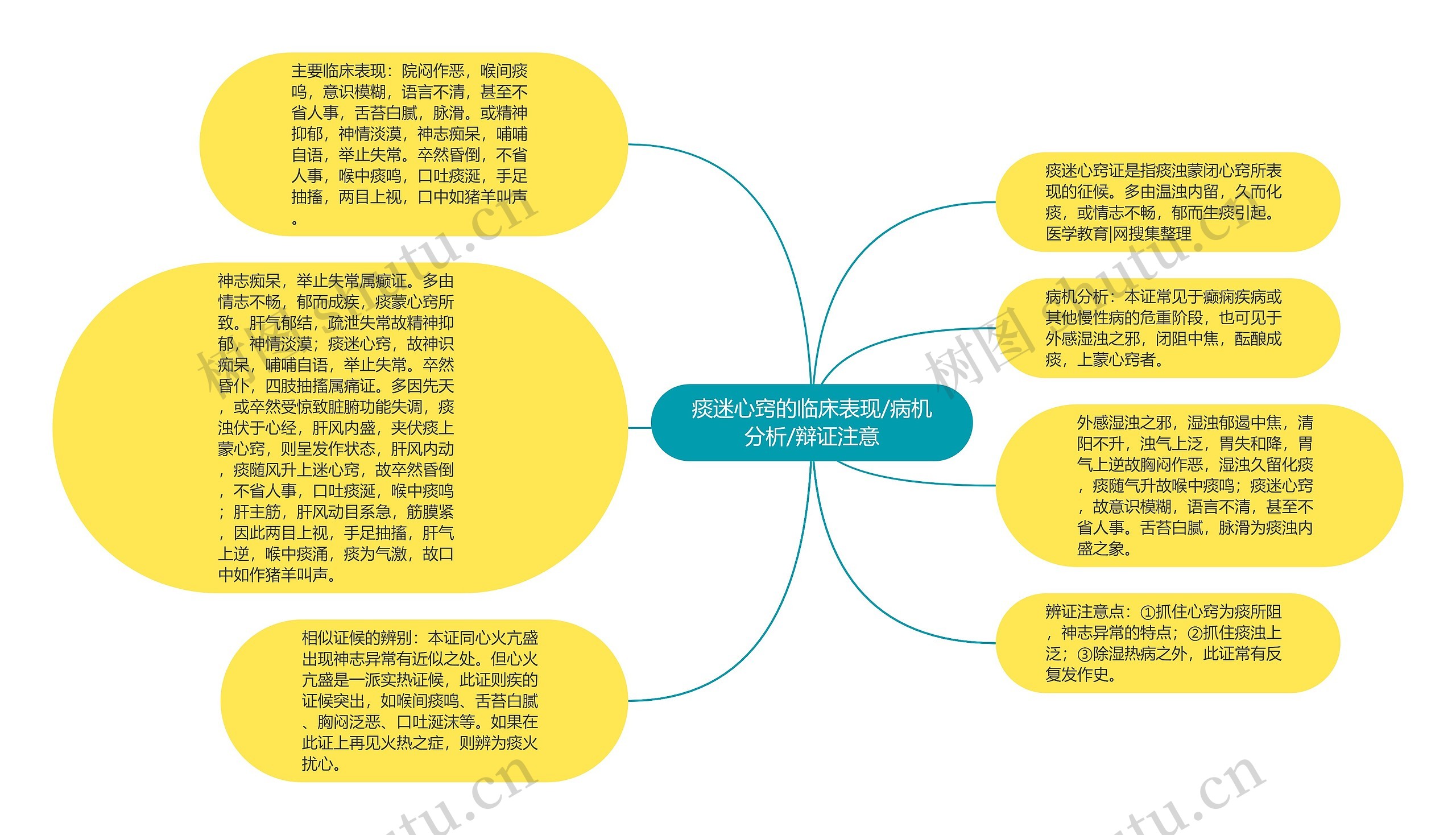 痰迷心窍的临床表现/病机分析/辩证注意思维导图