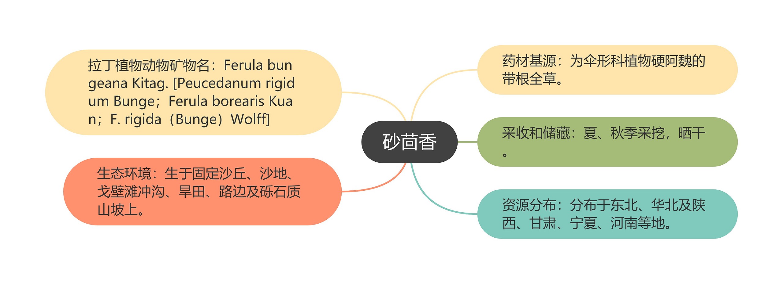 砂茴香思维导图