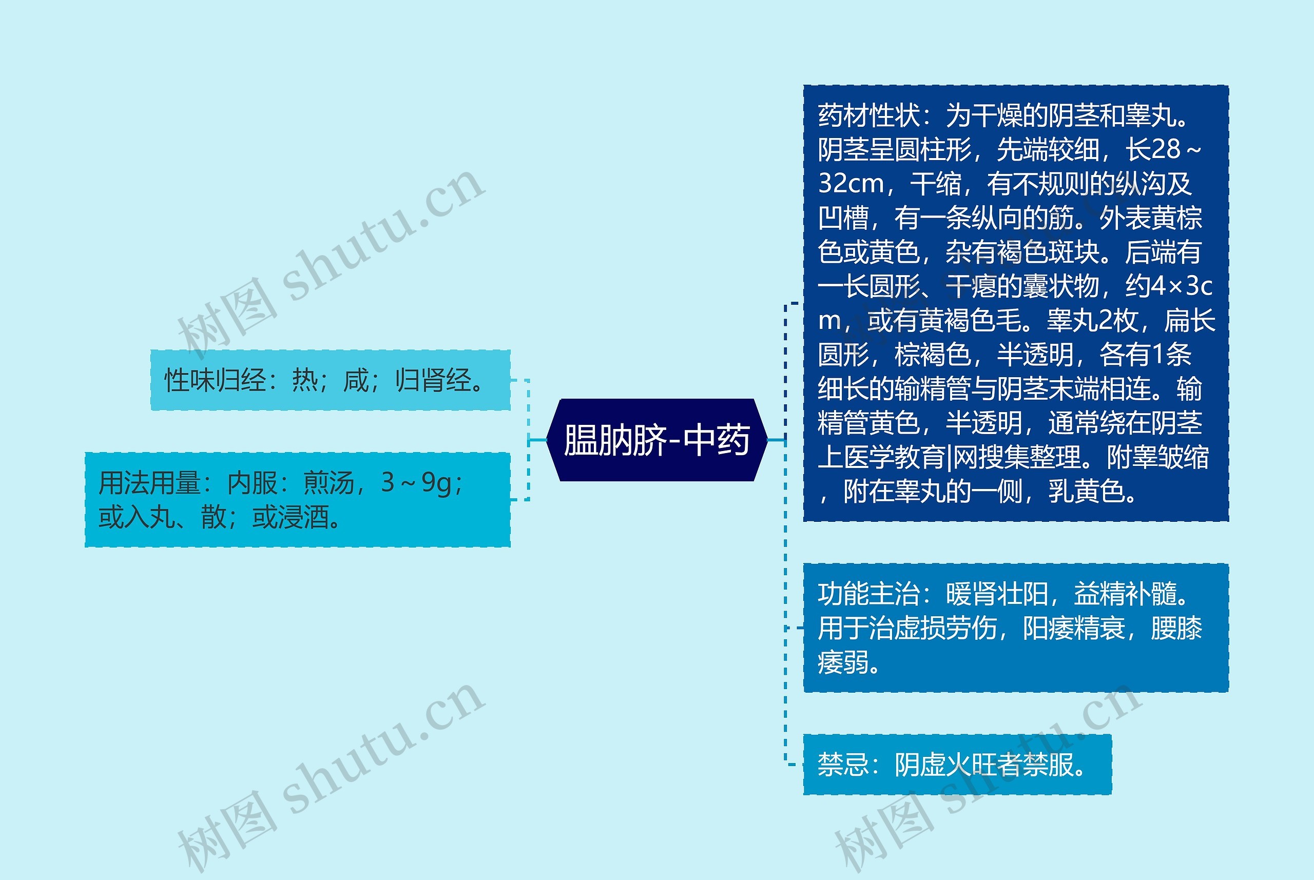 腽肭脐-中药思维导图