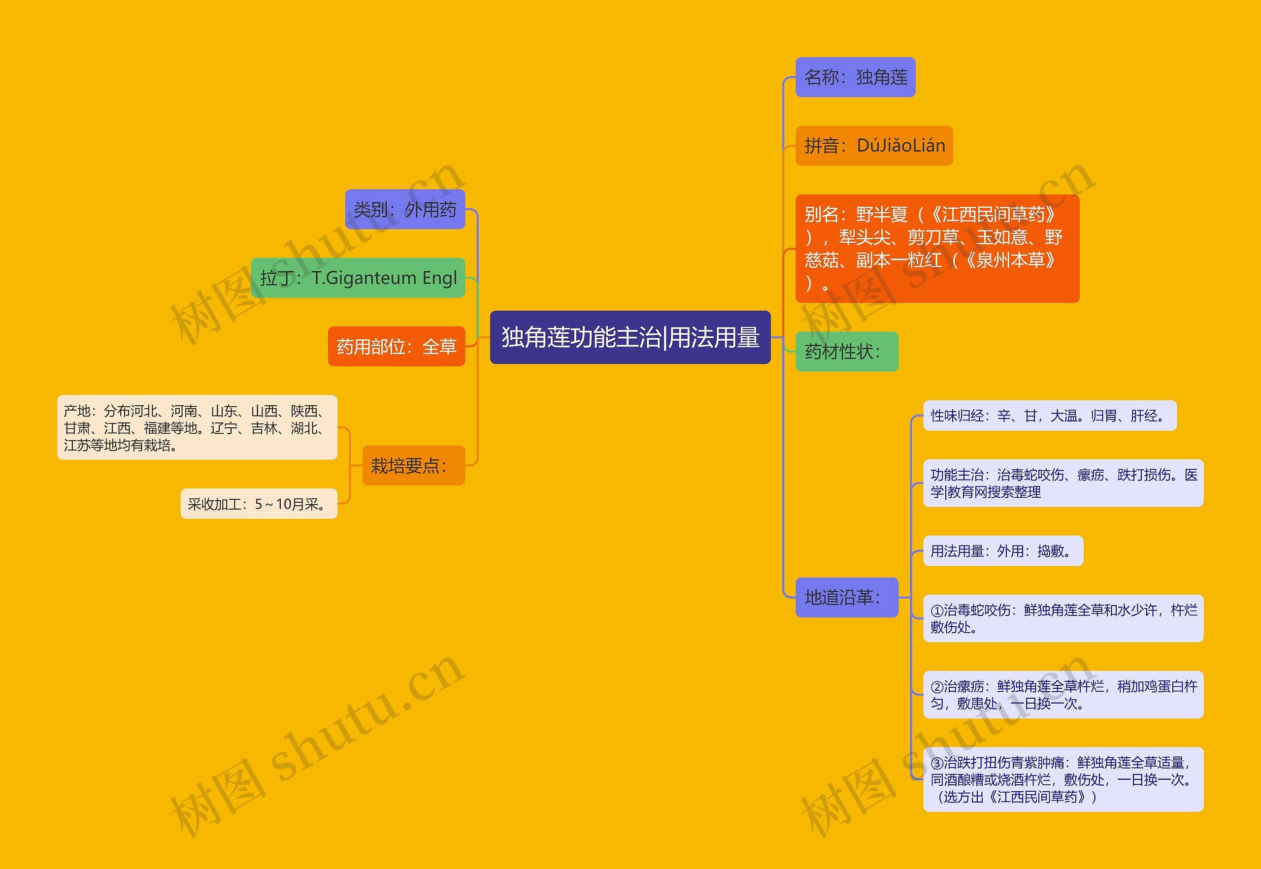 独角莲功能主治|用法用量思维导图