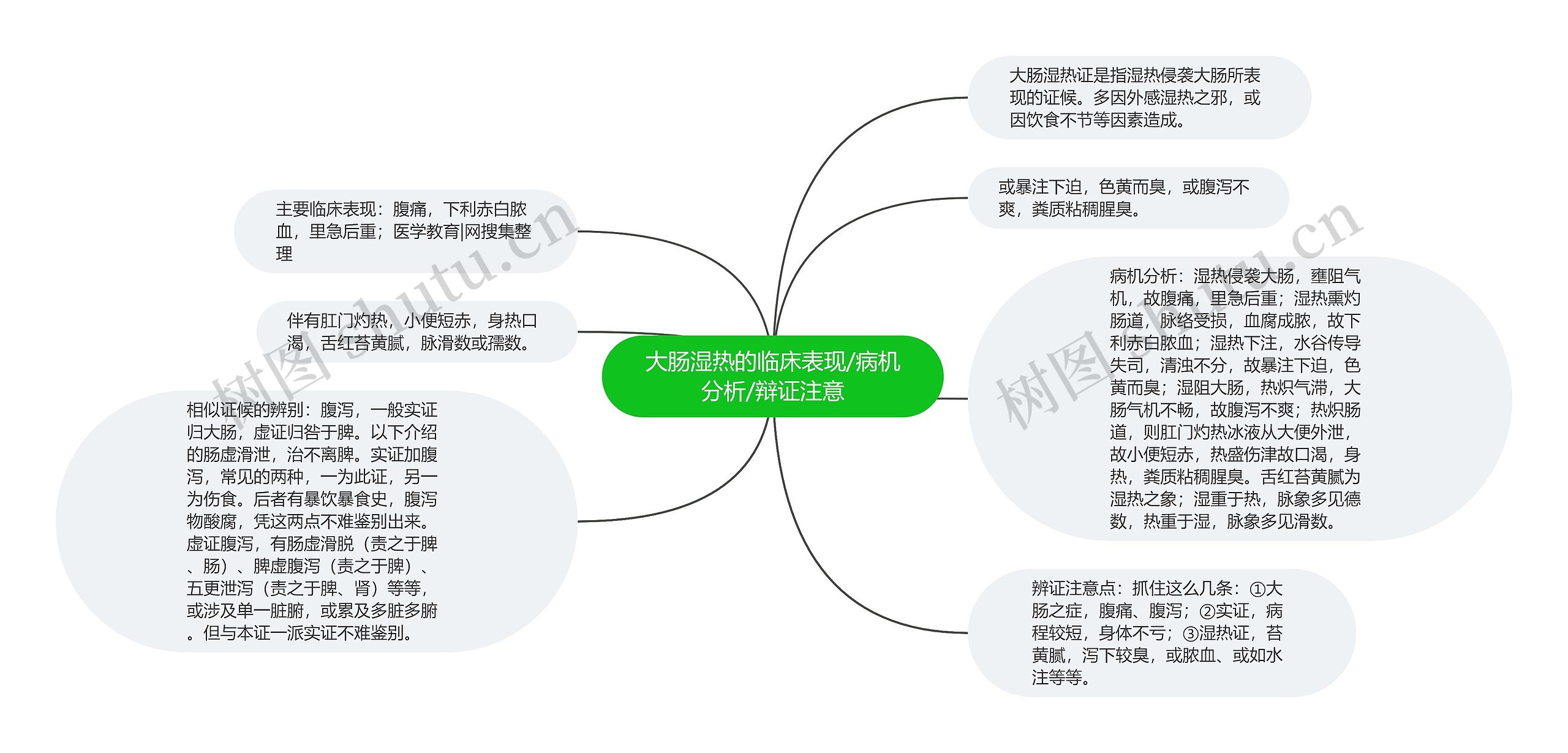 大肠湿热的临床表现/病机分析/辩证注意