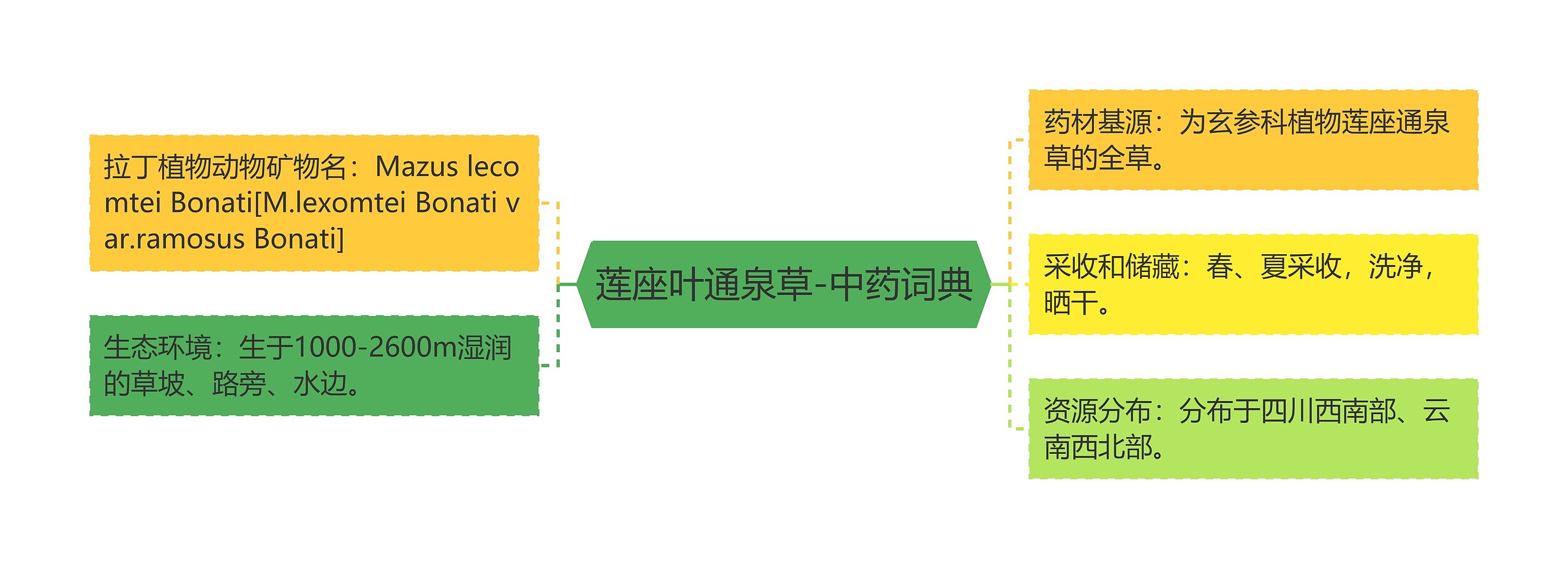 莲座叶通泉草-中药词典思维导图