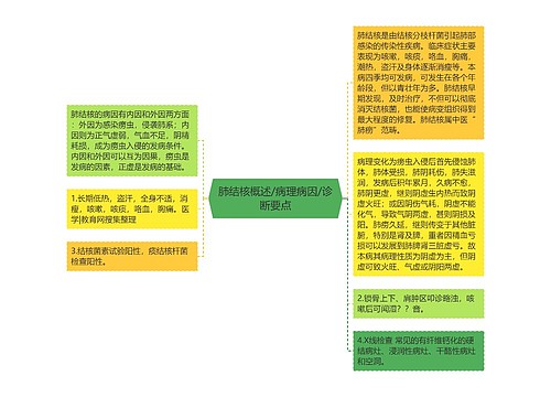 肺结核概述/病理病因/诊断要点