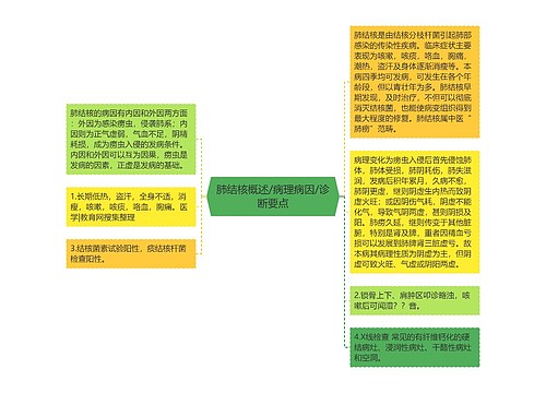 肺结核概述/病理病因/诊断要点