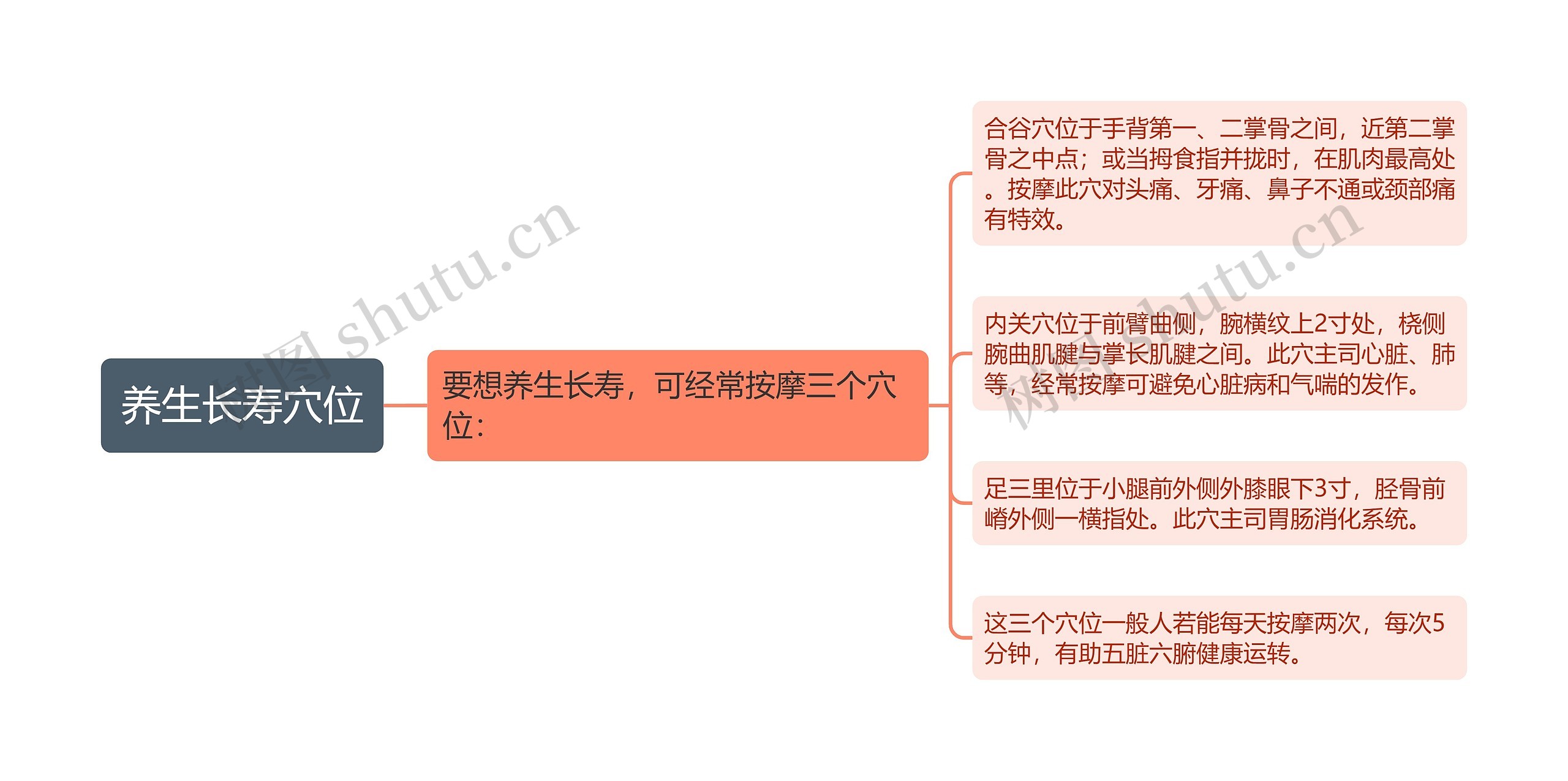 养生长寿穴位