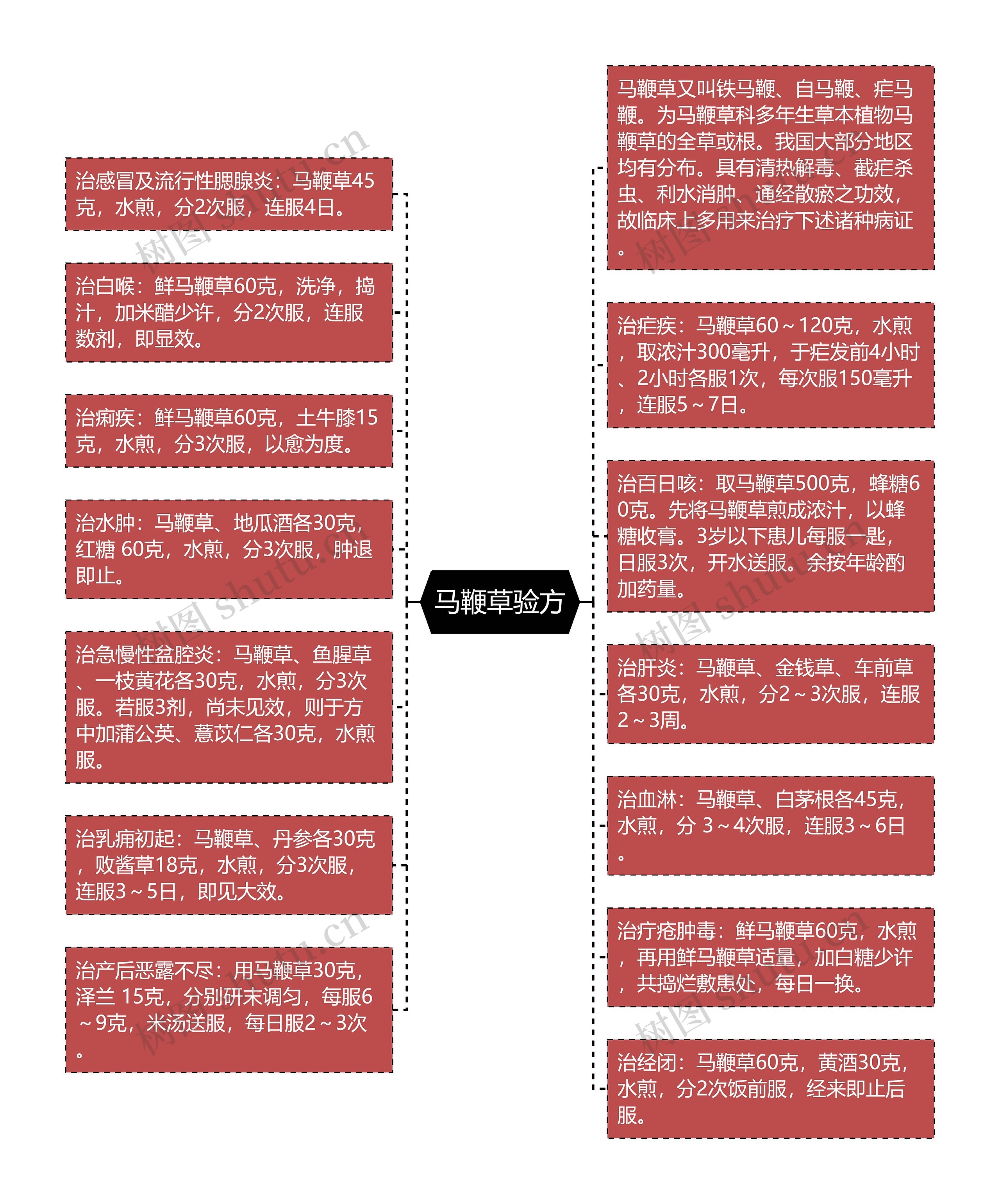 马鞭草验方