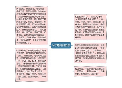 治疗原则的概念