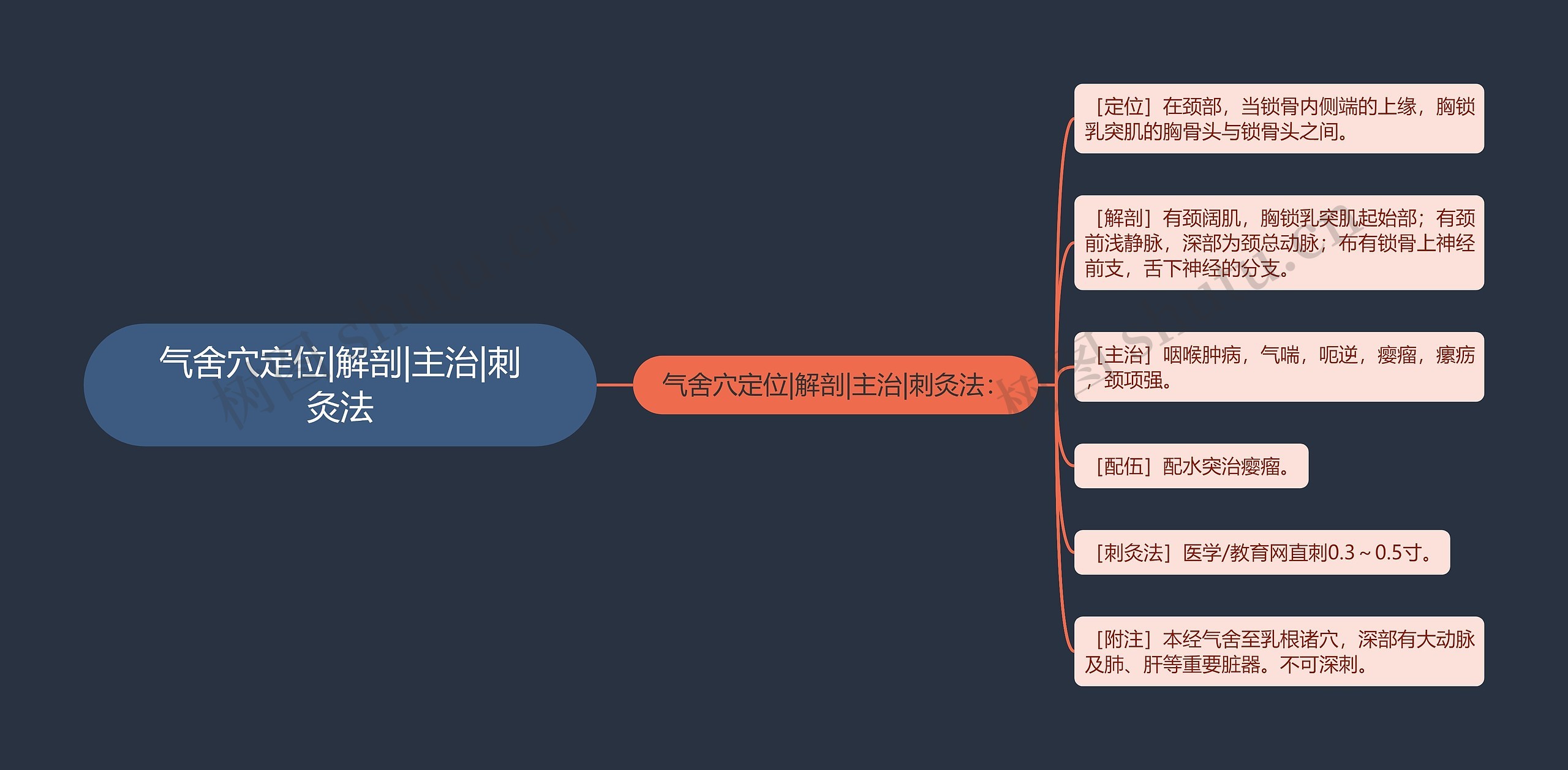 气舍穴定位|解剖|主治|刺灸法思维导图